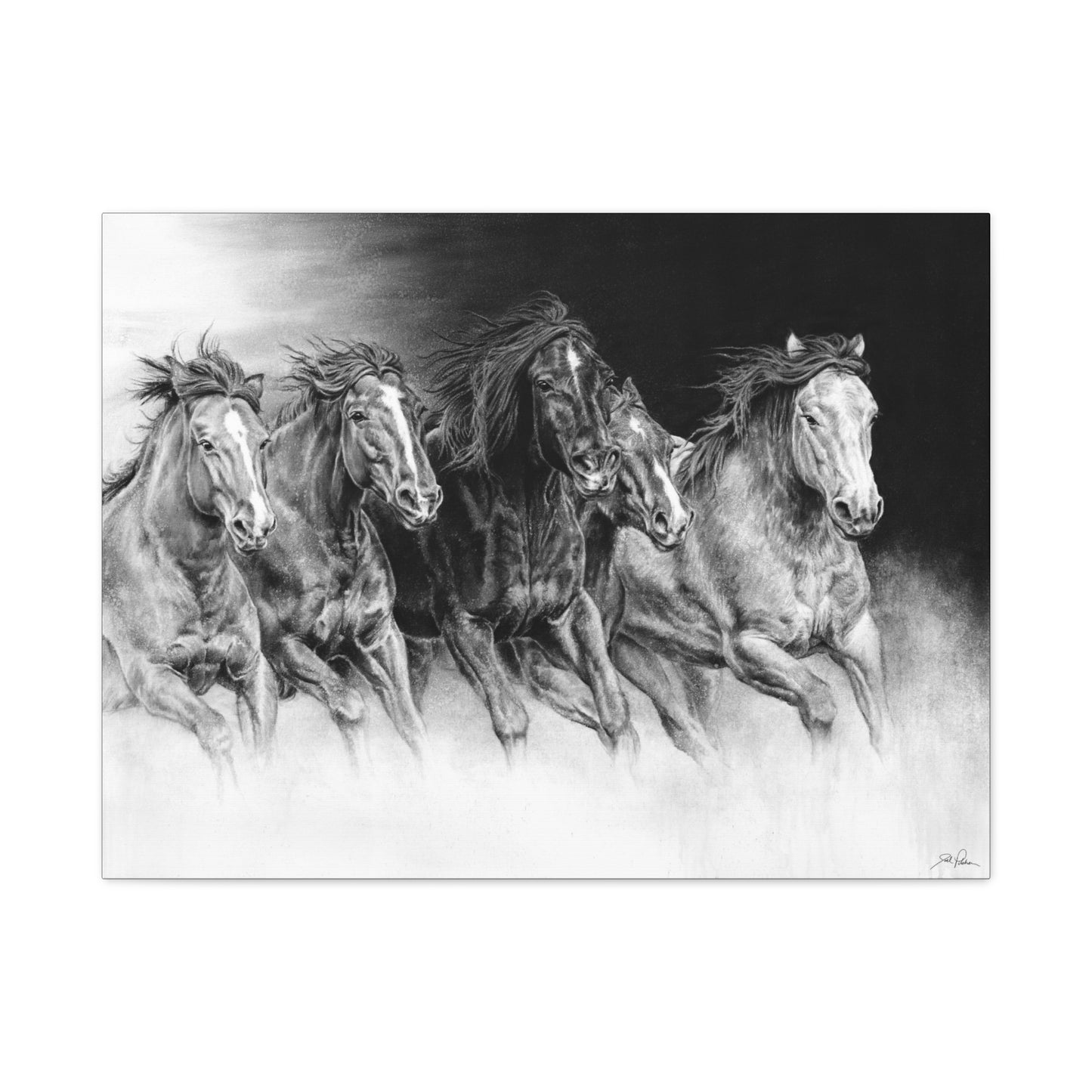 "Wild Bunch" Stretched Canvas