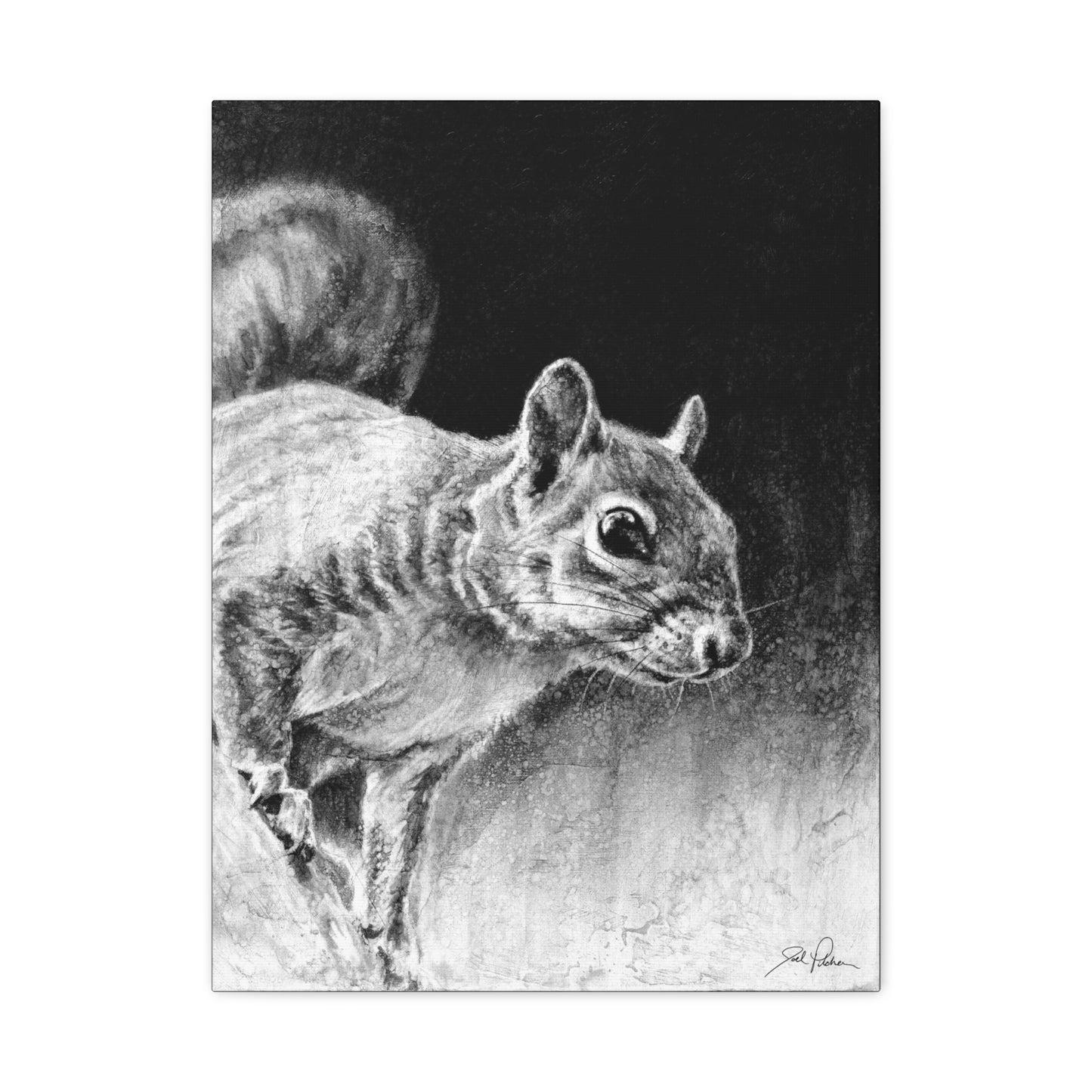 "Squirrel" Stretched Canvas