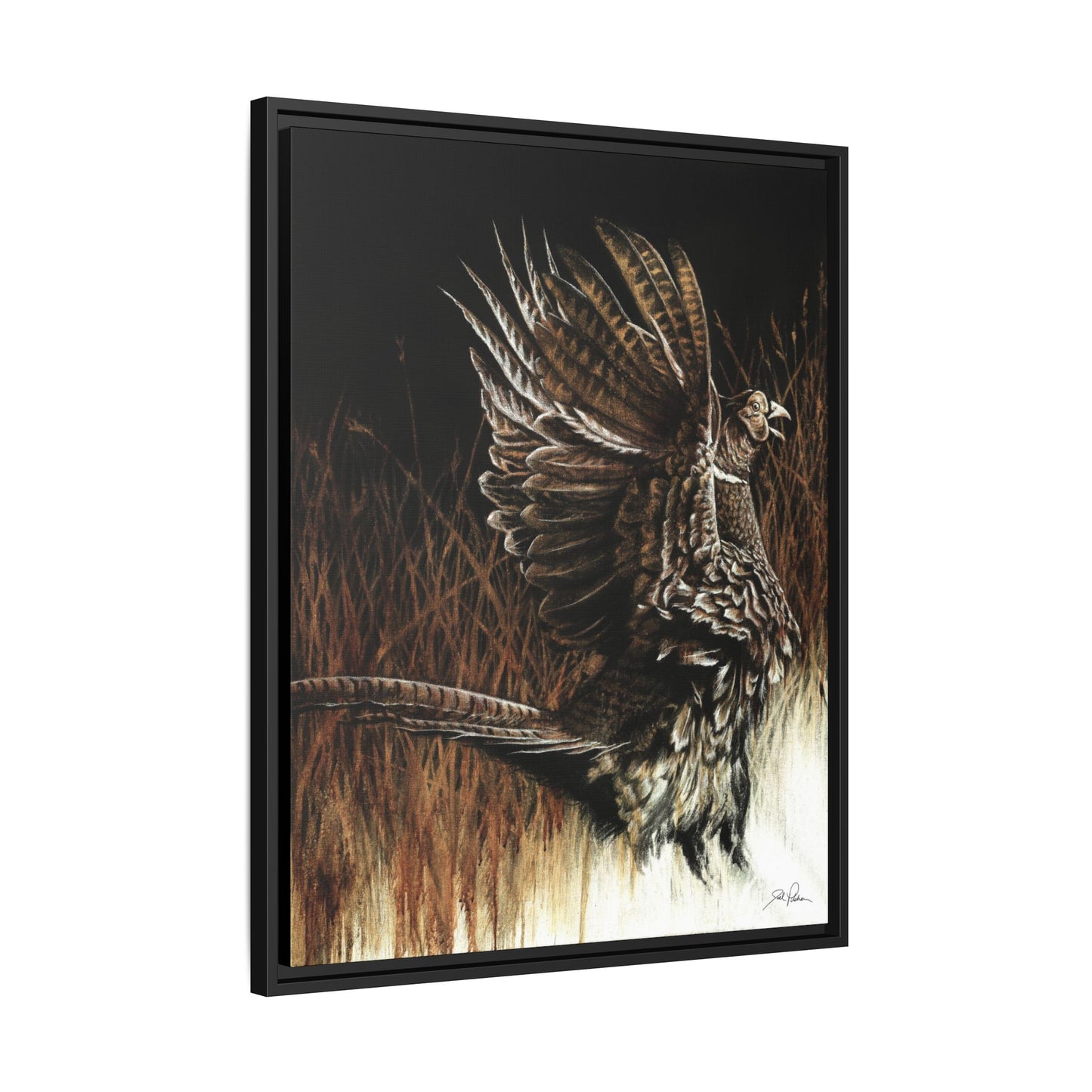 "Call of the Upland Pheasant" Framed Canvas