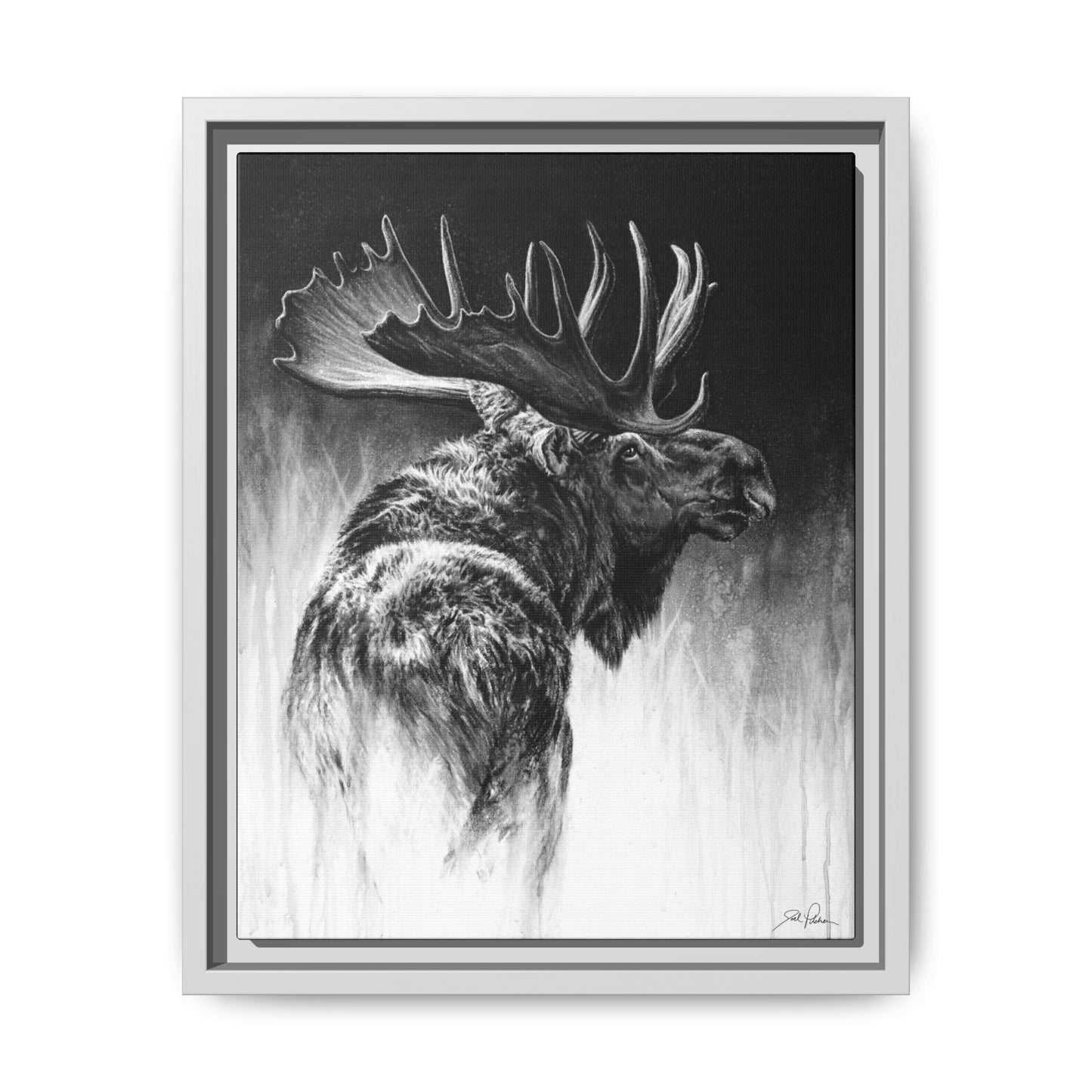 "Bull Moose" Framed Canvas