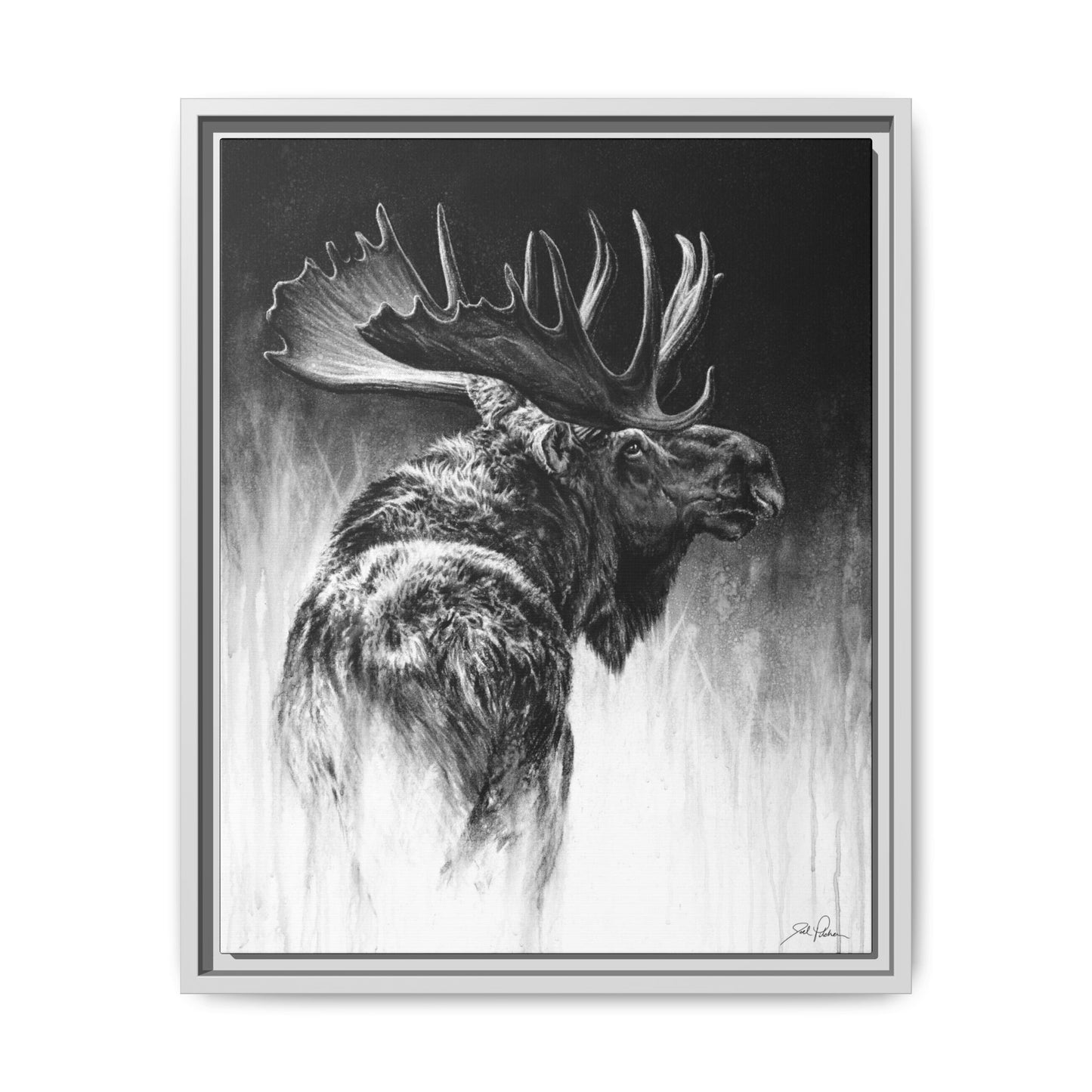 "Bull Moose" Framed Canvas