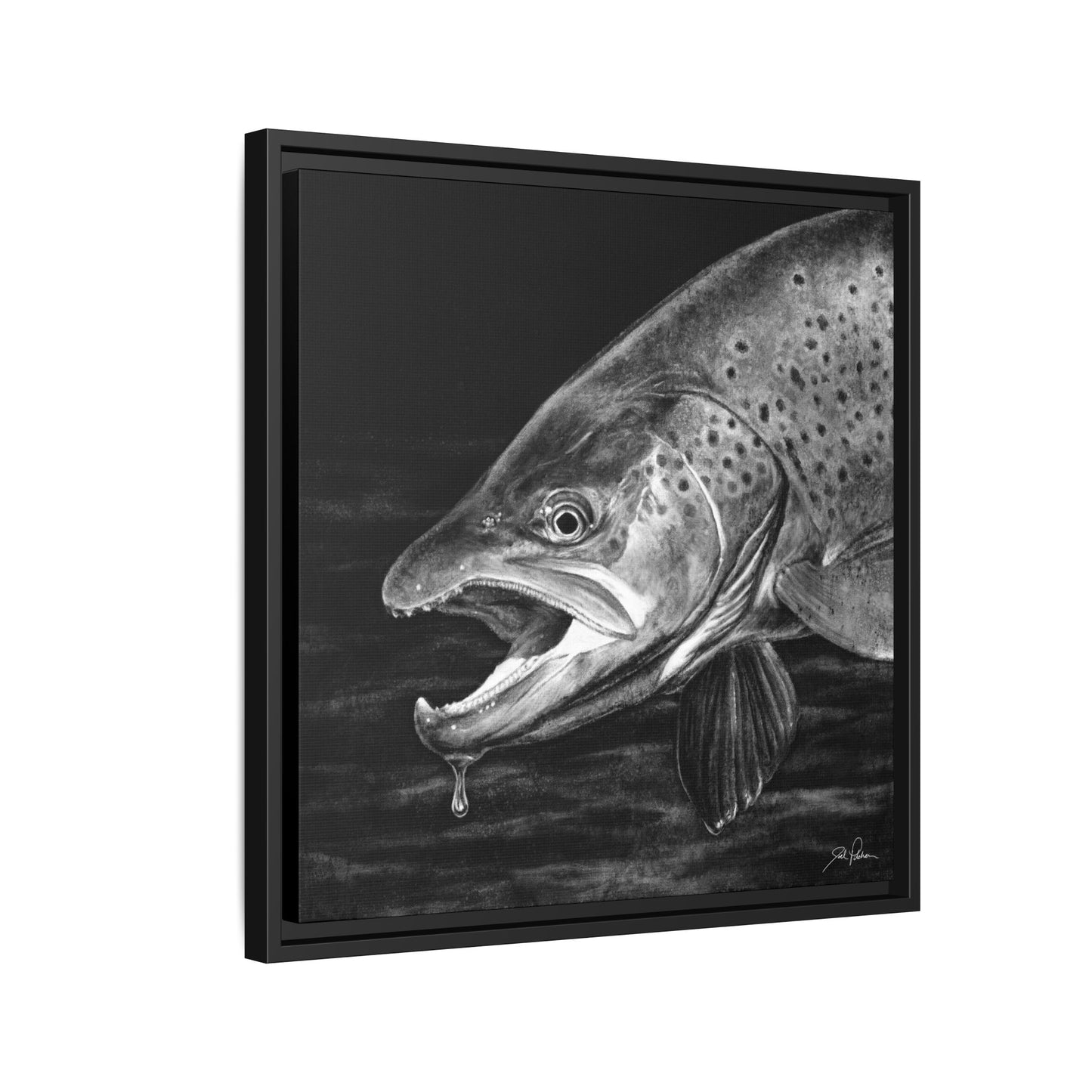 "Brown Trout" Framed Canvas