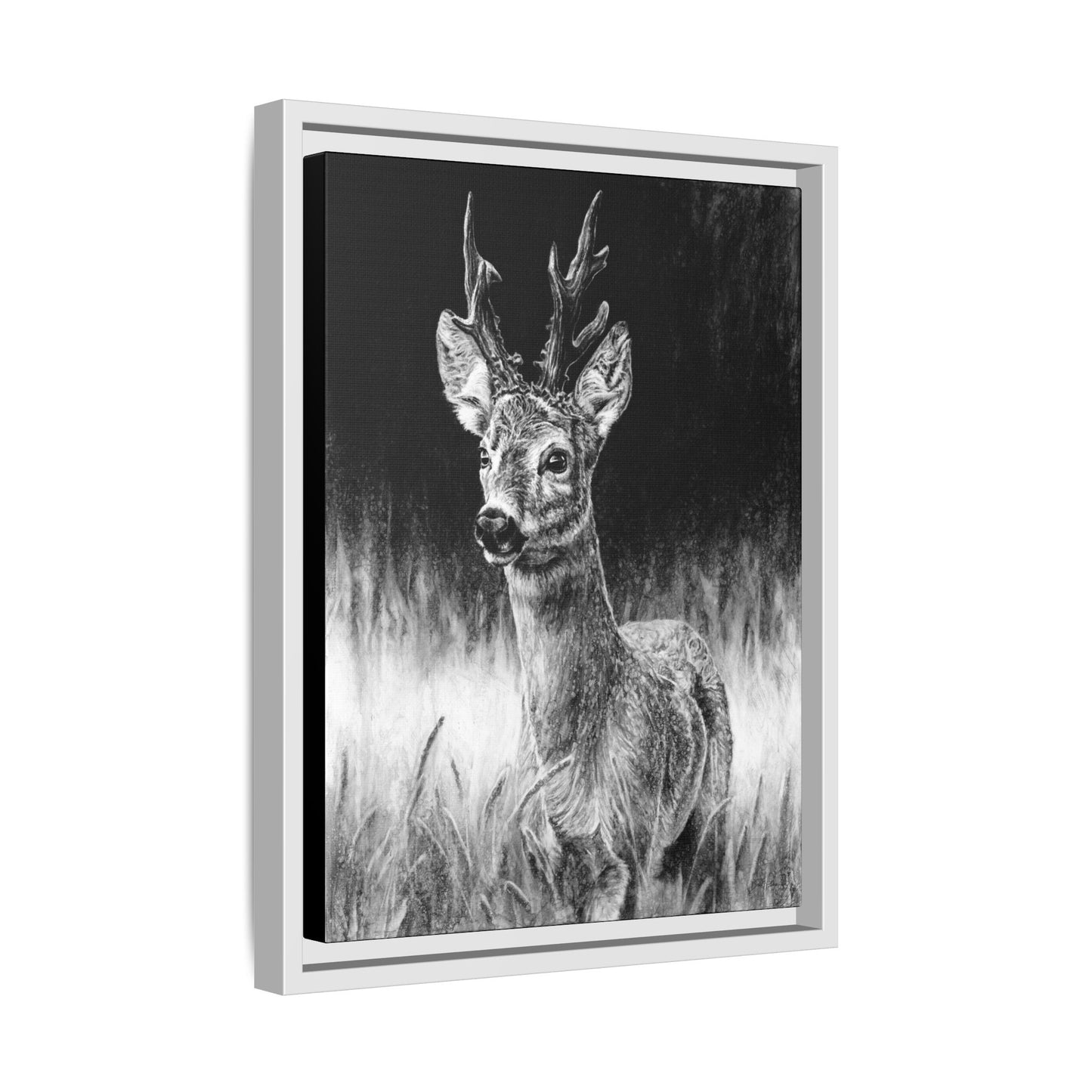 "Roe Deer" Framed Canvas