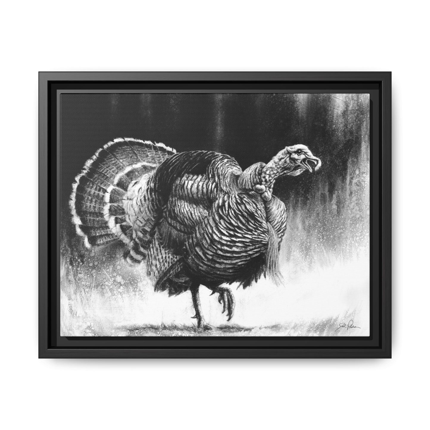 "Gobbler" Framed Canvas