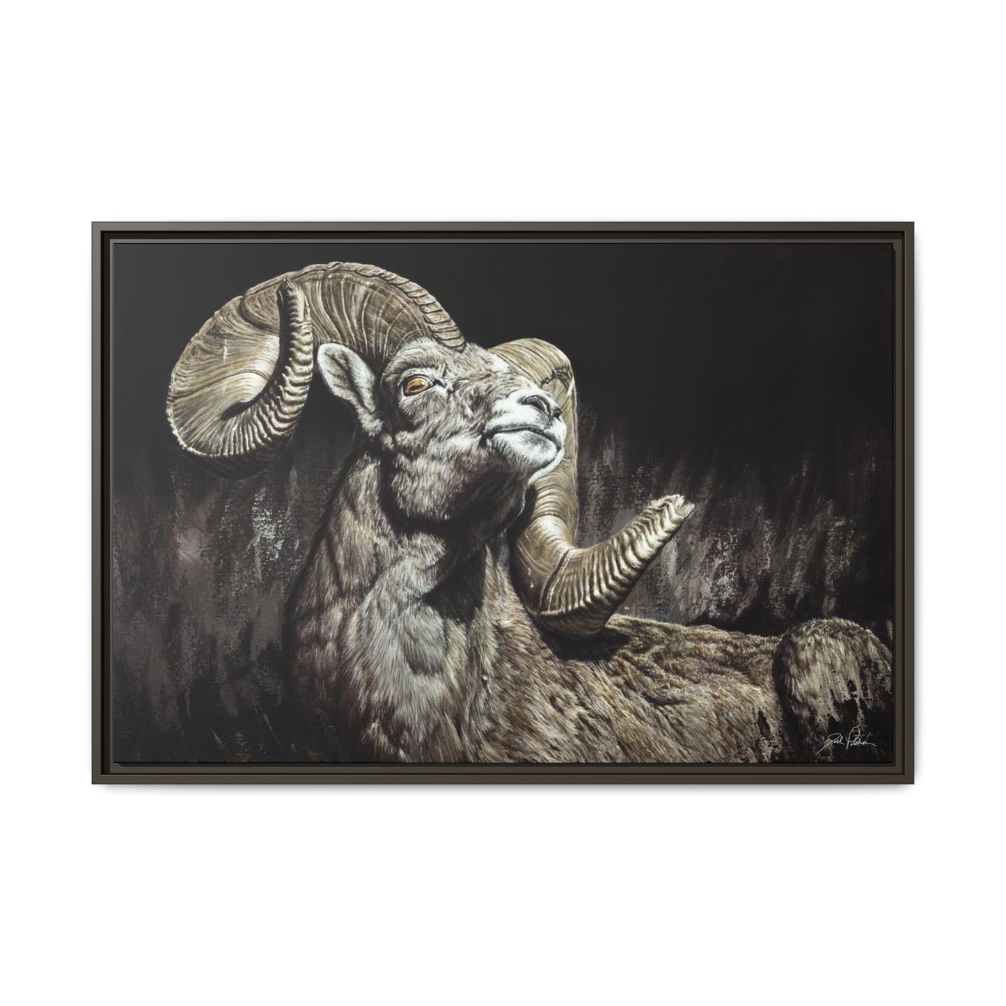 "Golden Eye" Framed Canvas