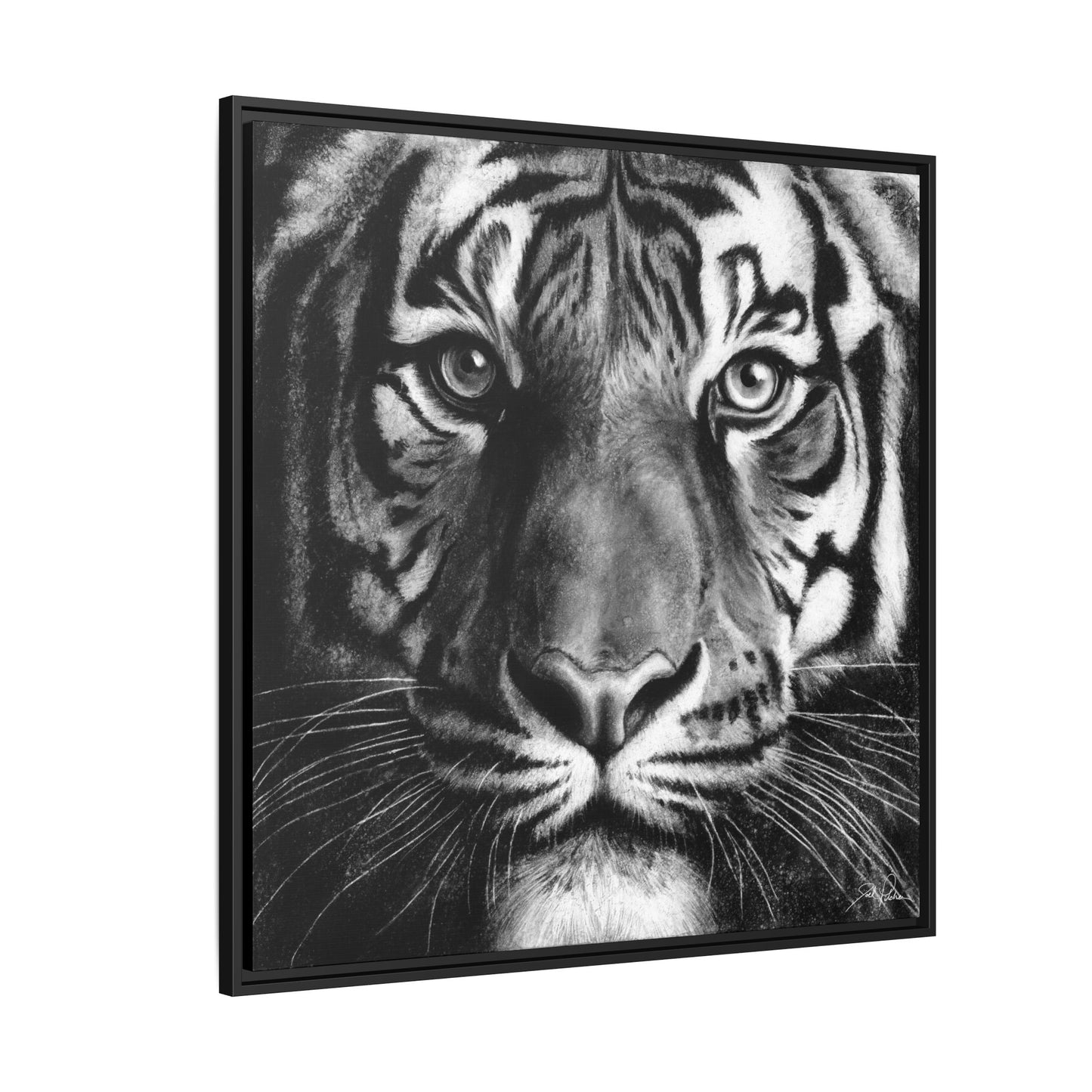 "Tiger" Framed Canvas
