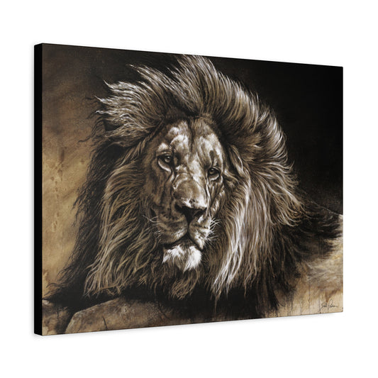 "No Worries" Stretched Canvas