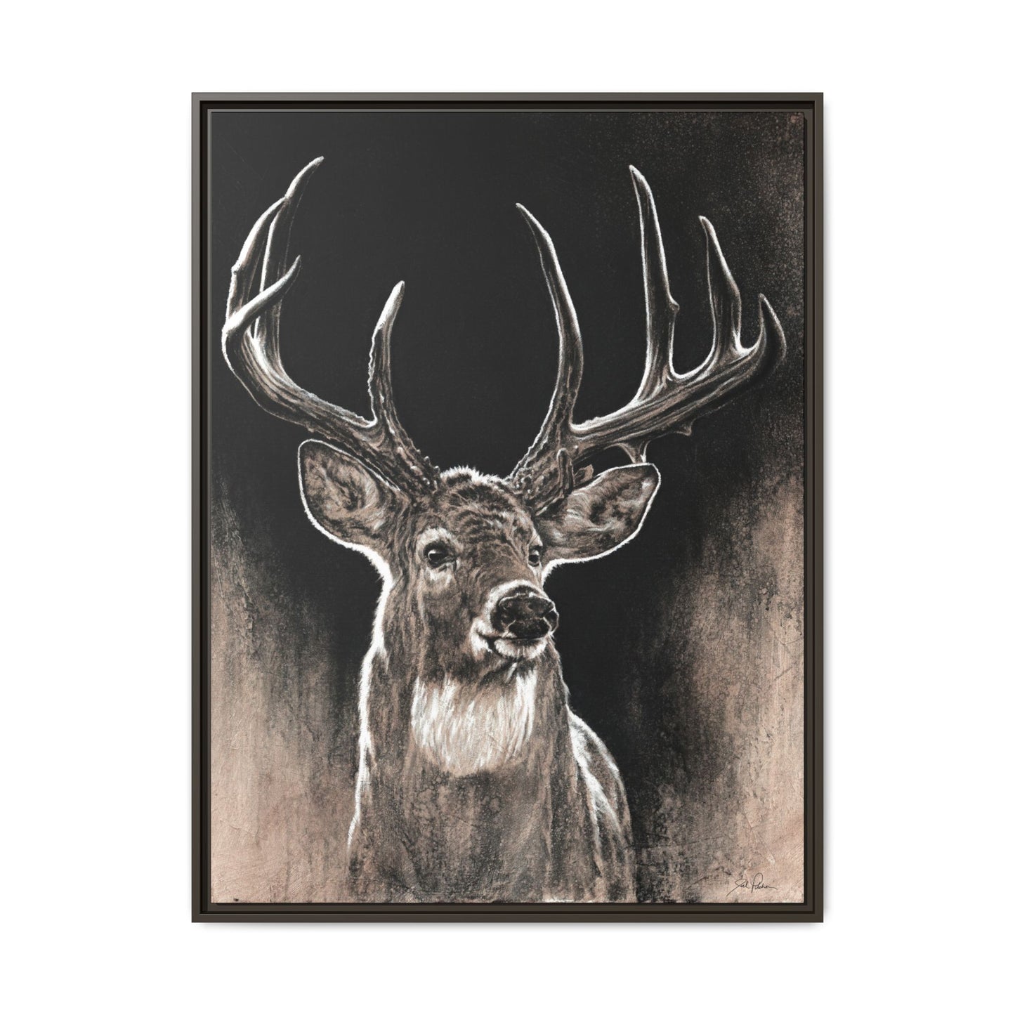 "Backlit Buck" Framed Canvas