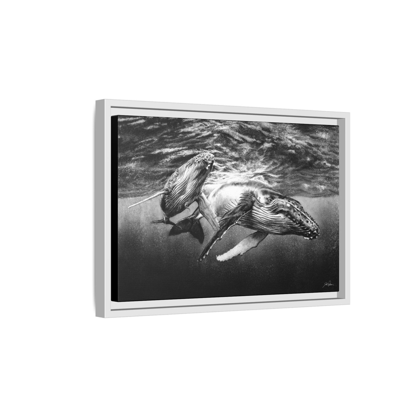"Humpback Whales" Framed Canvas