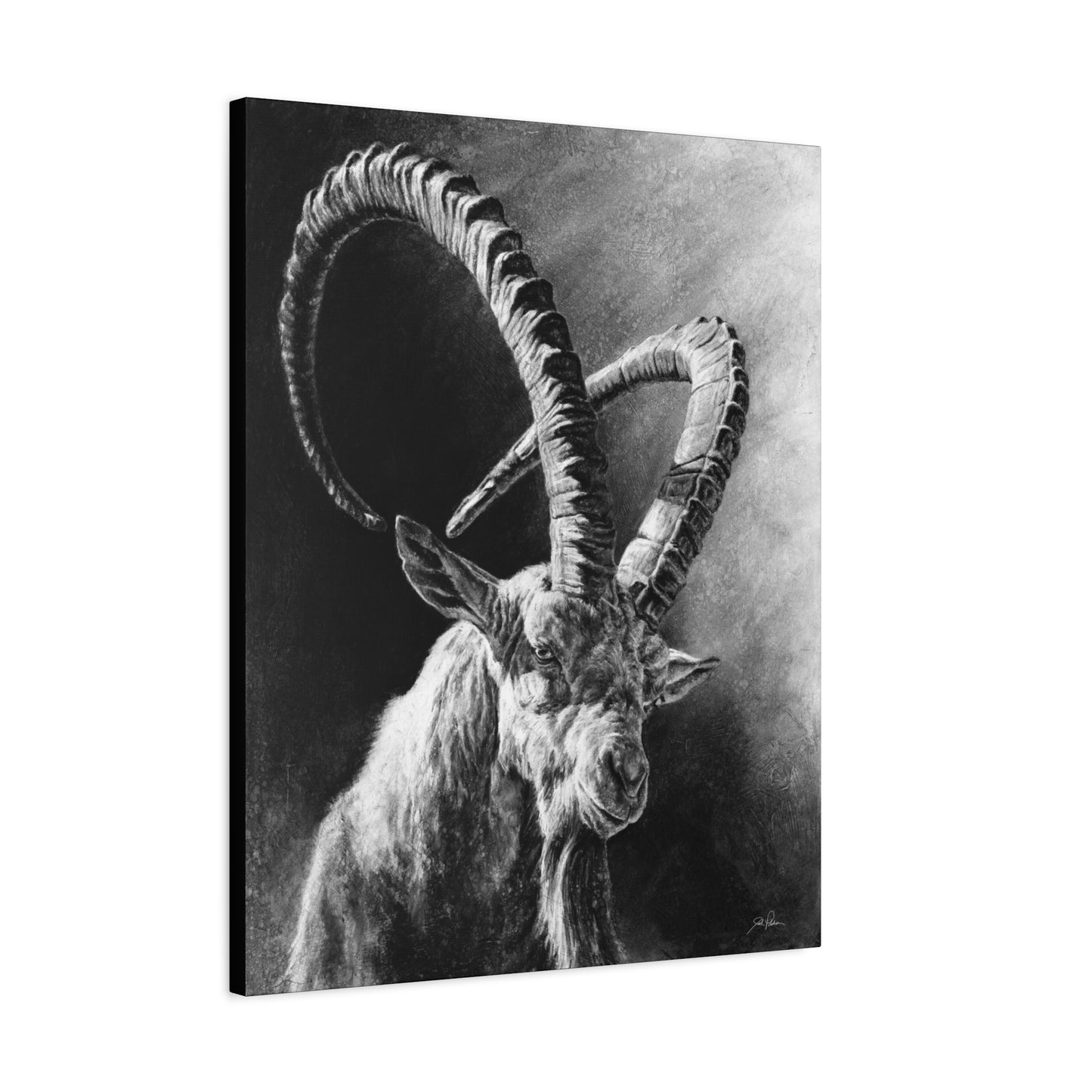 "Ibex" Stretched Canvas