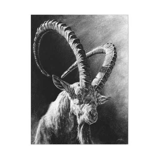 "Ibex" Stretched Canvas