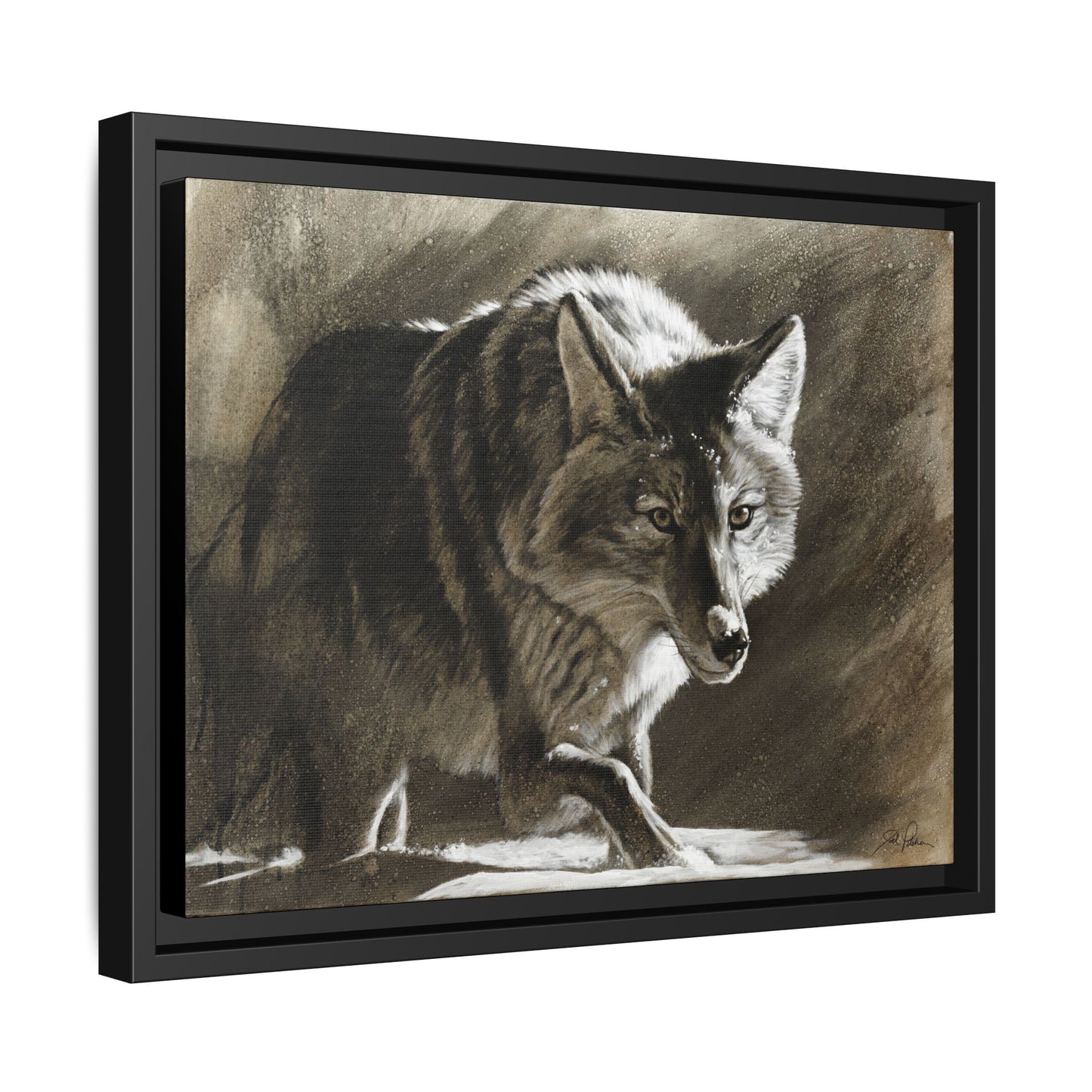 "Coyote" Framed Canvas