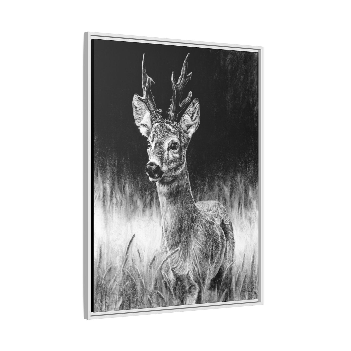 "Roe Deer" Framed Canvas