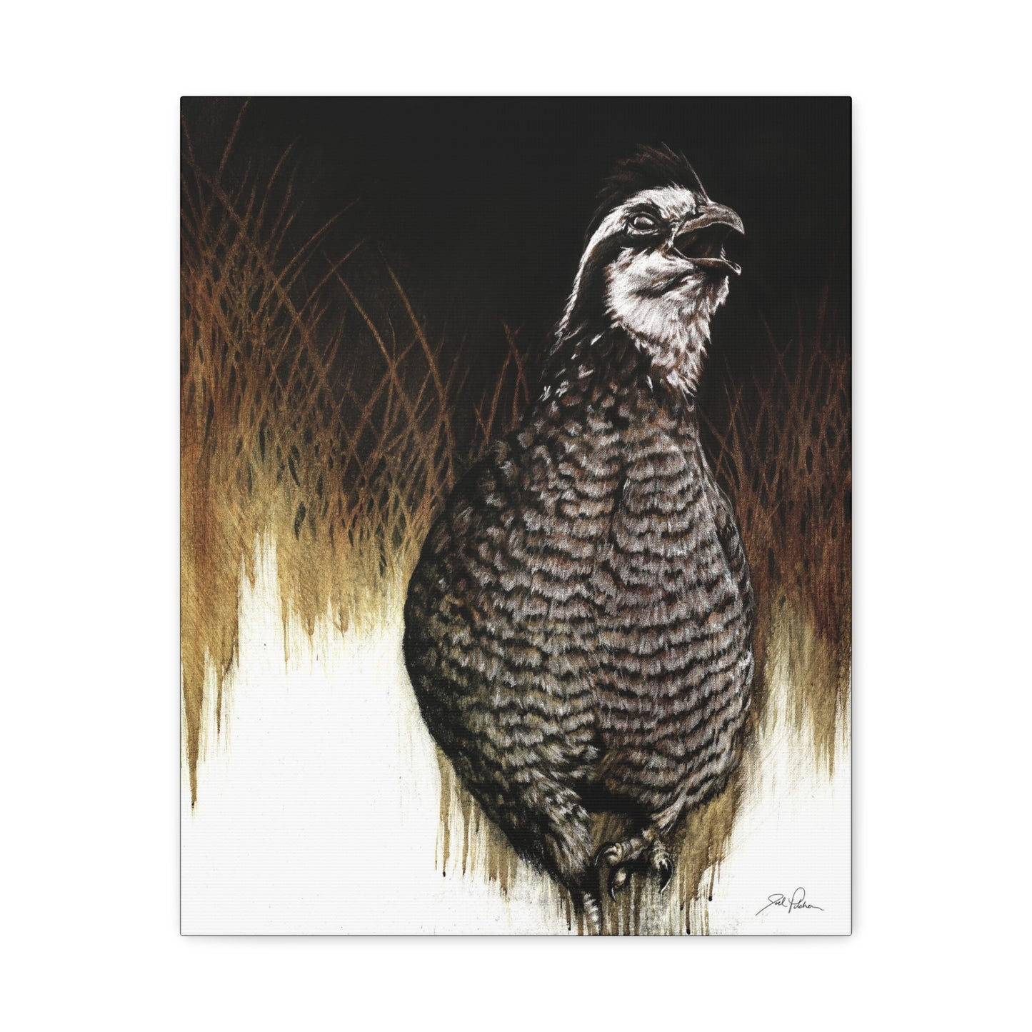 "Call of the Upland Quail" Stretched Canvas