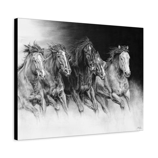 "Wild Bunch" Stretched Canvas