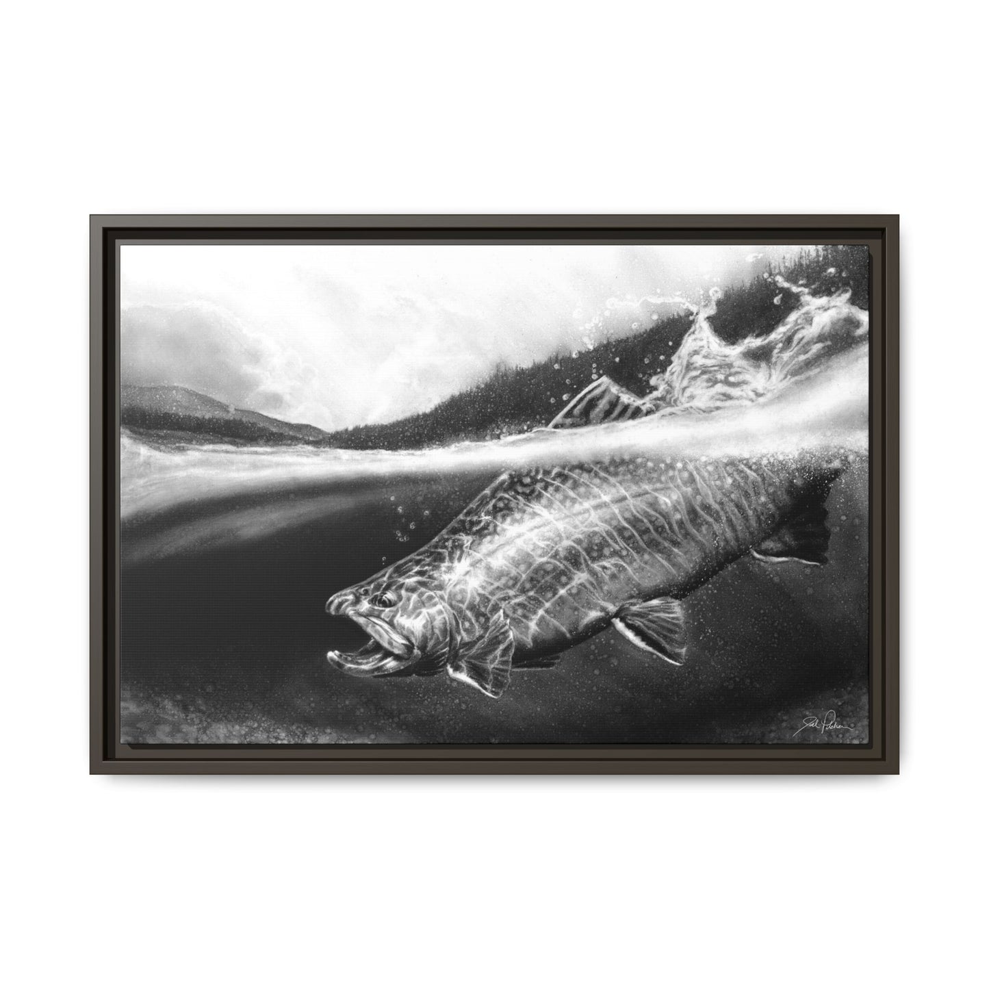 "Brook Trout" Framed Canvas