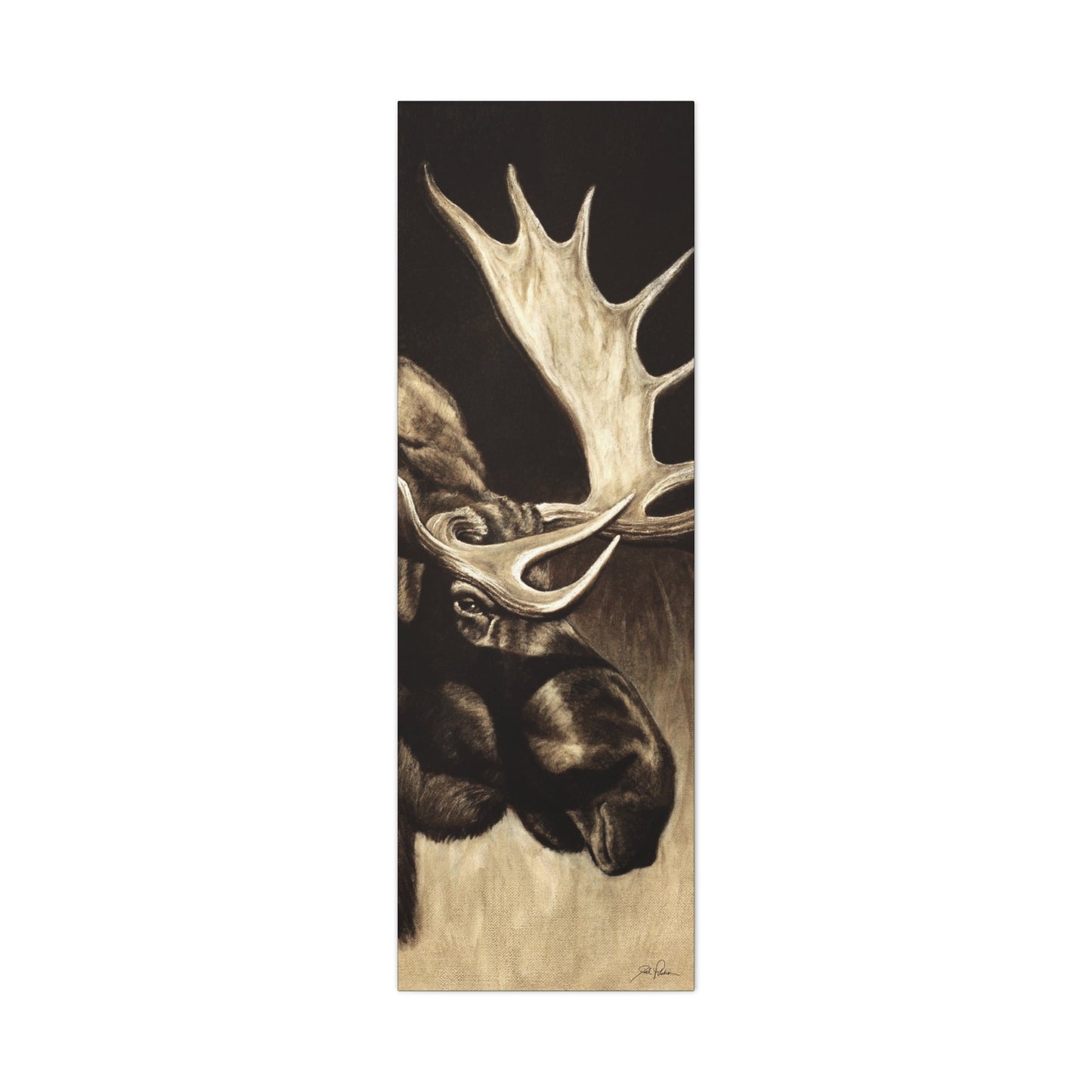 "Mighty Moose" Stretched Canvas
