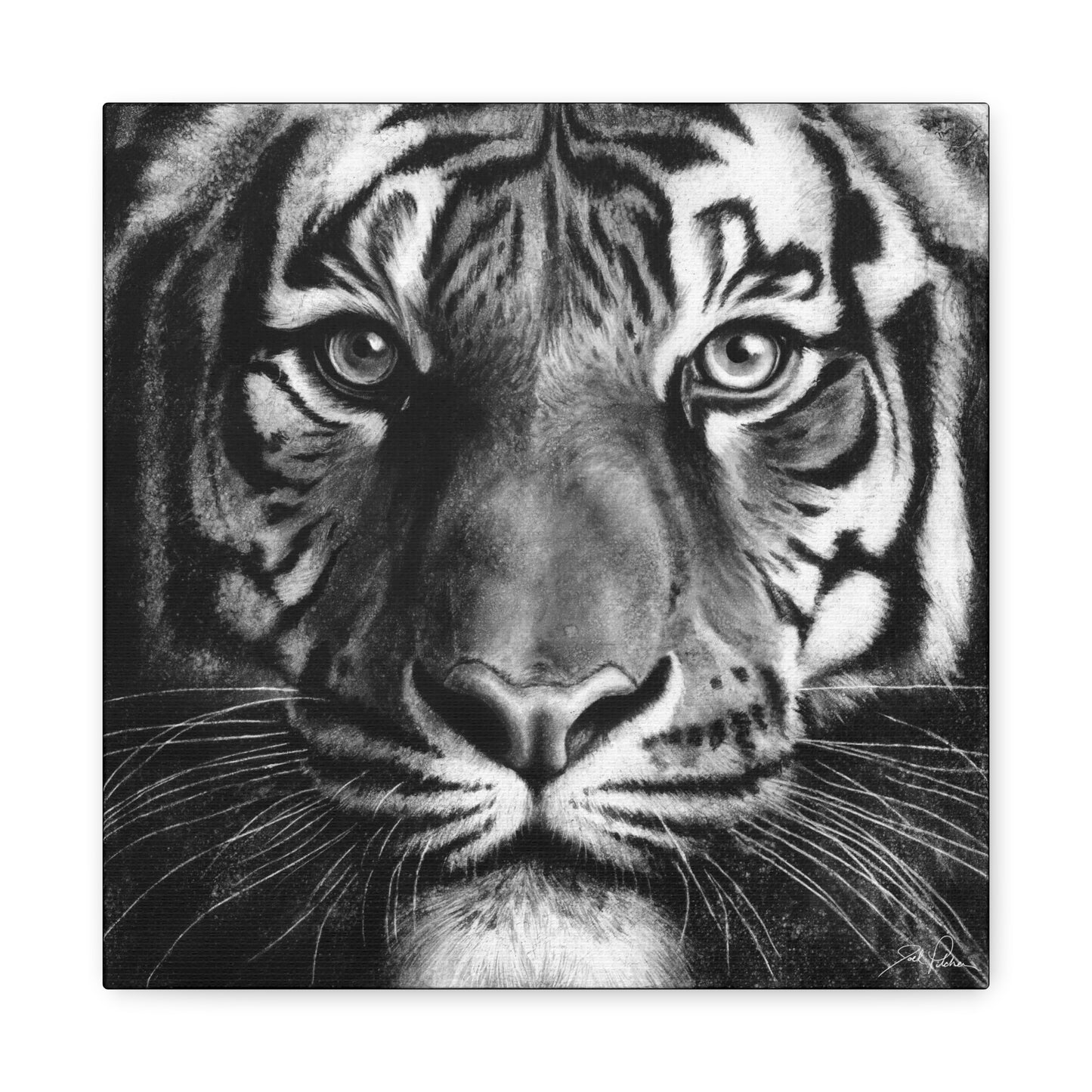 "Tiger" Stretched Canvas