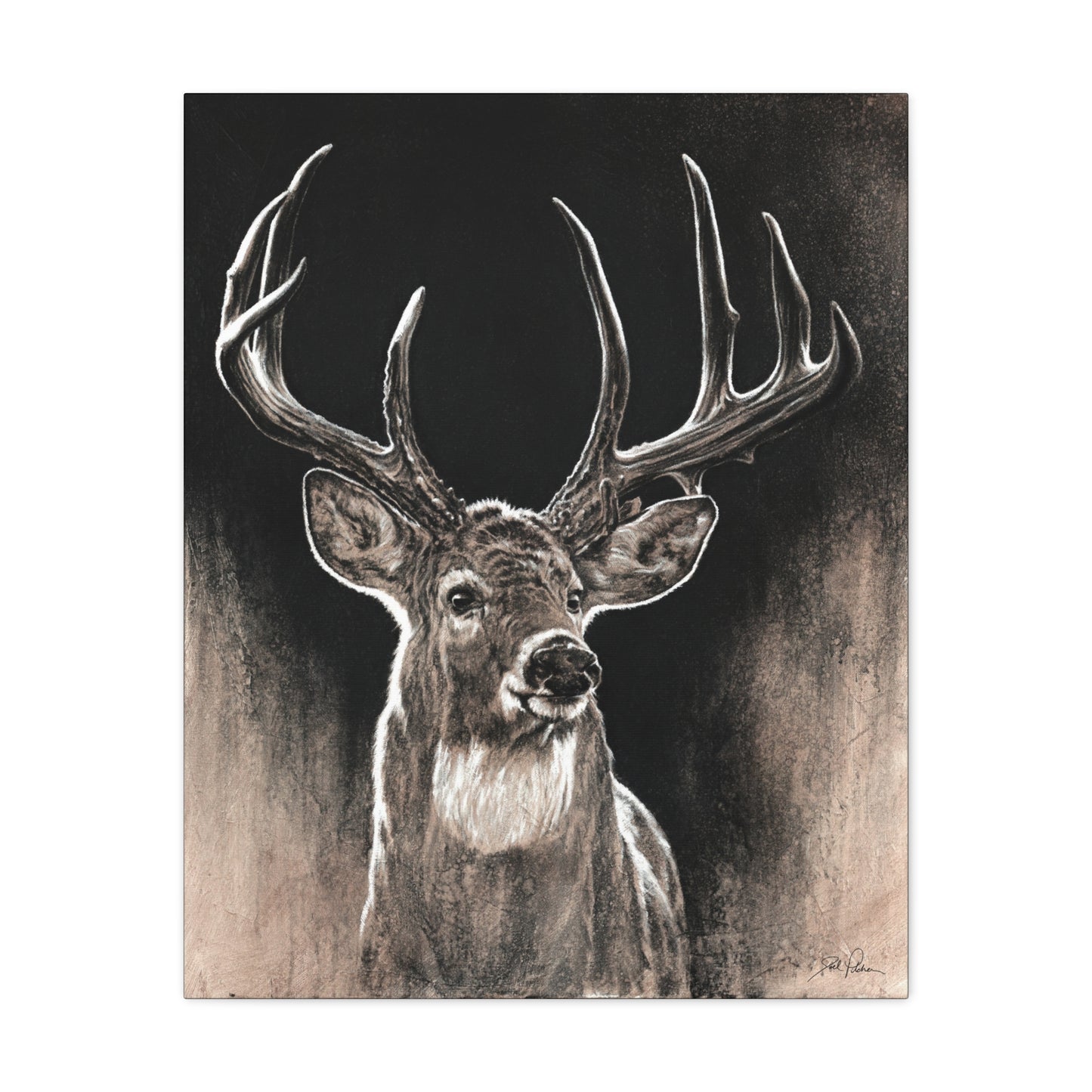 "Backlit Buck" Stretched Canvas