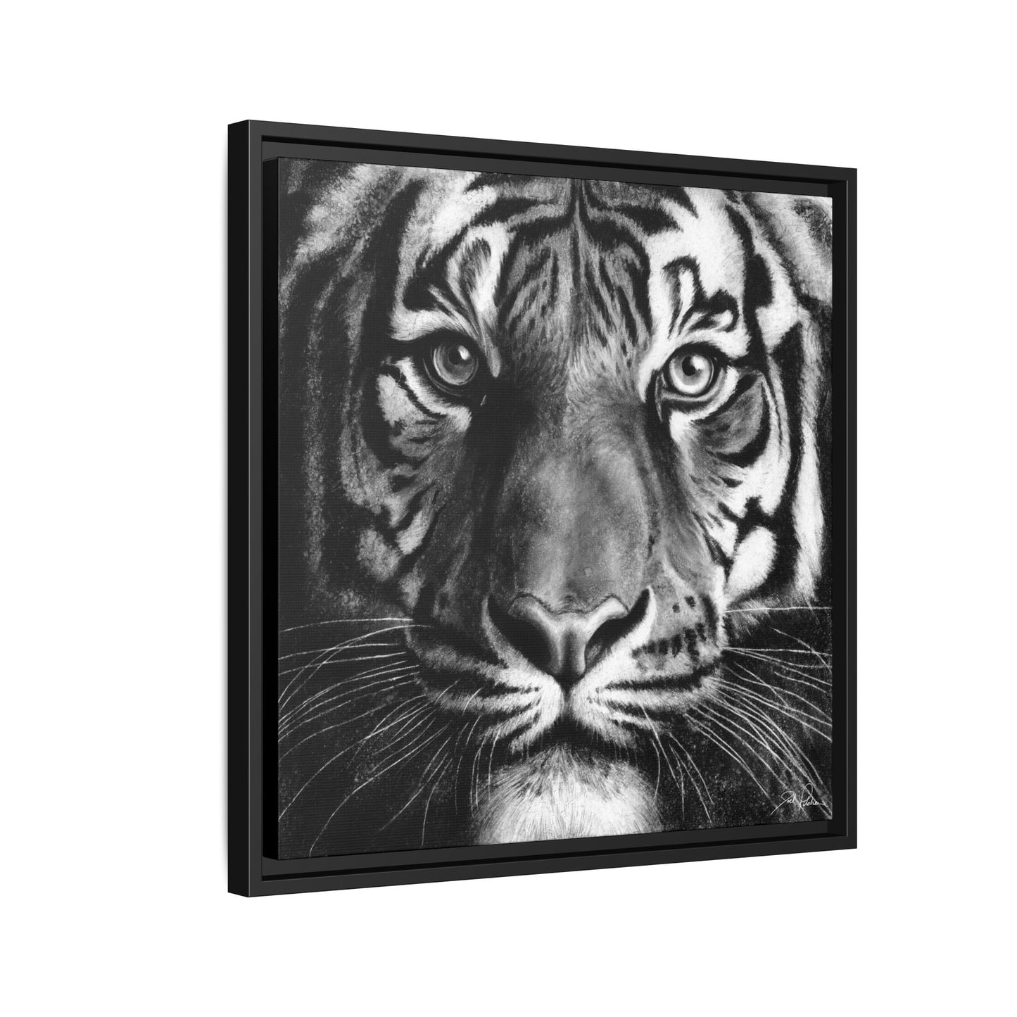 "Tiger" Framed Canvas