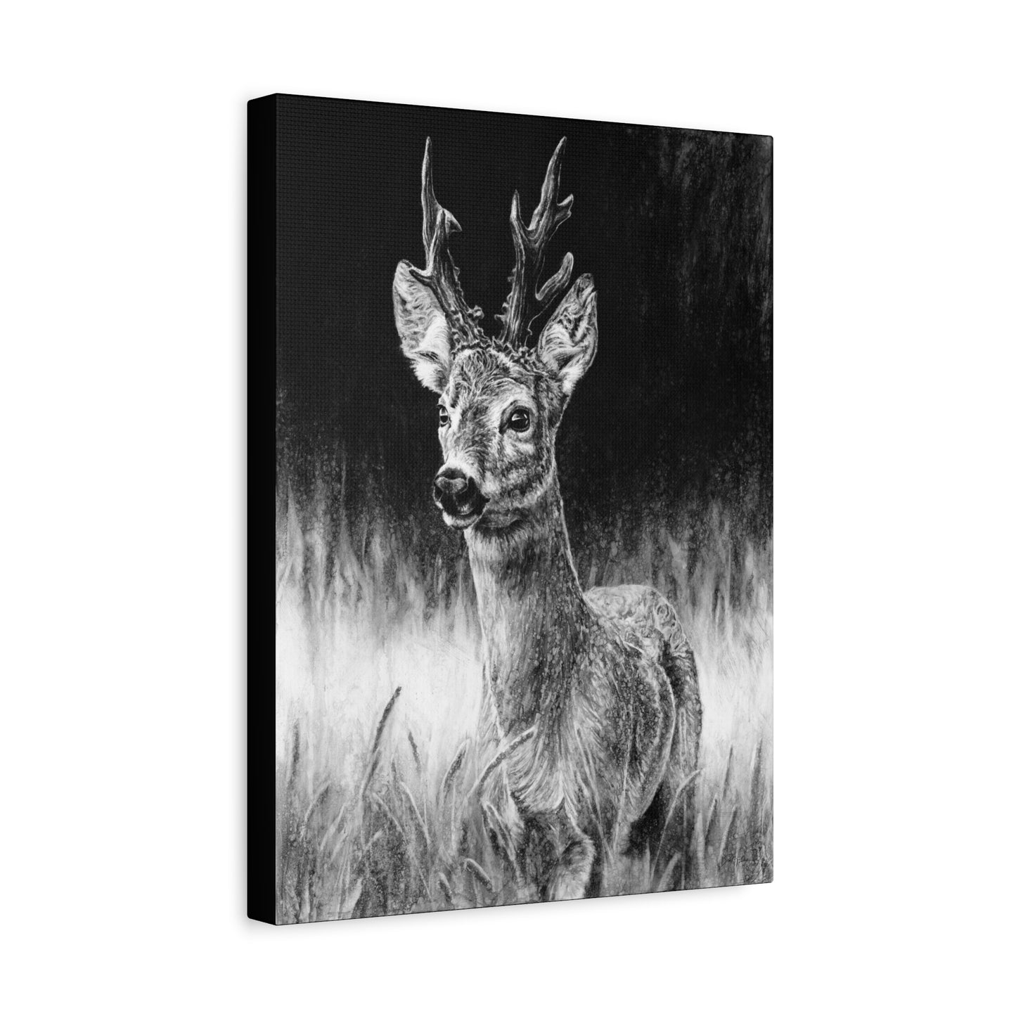 "Roe Deer" Stretched Canvas