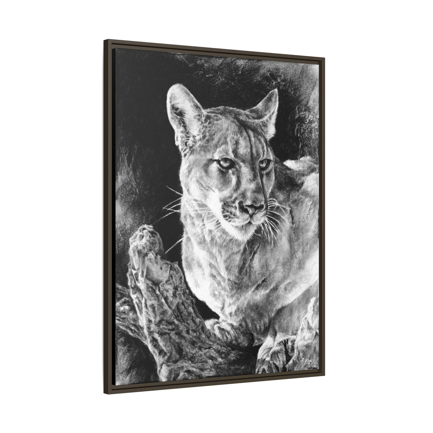 "Mountain Lion" Framed Canvas