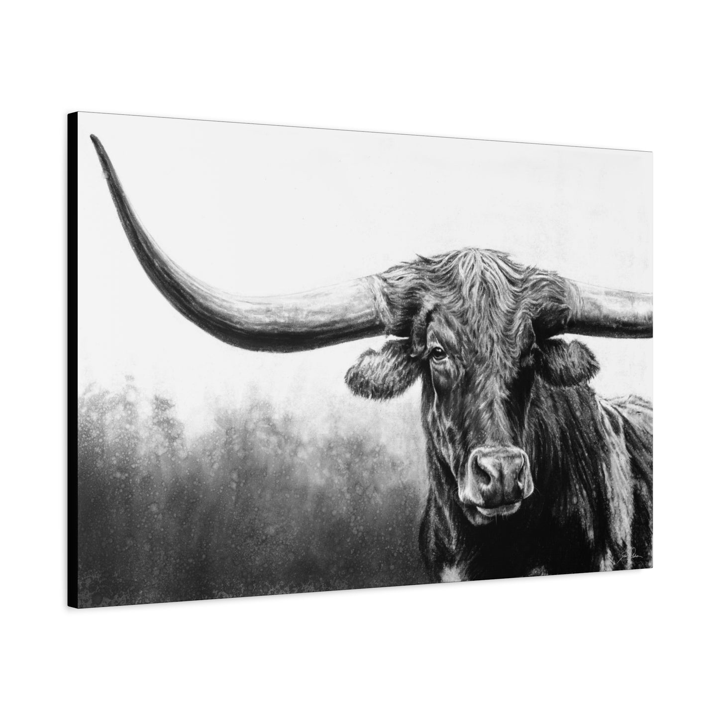 "Longhorn" Stretched Canvas