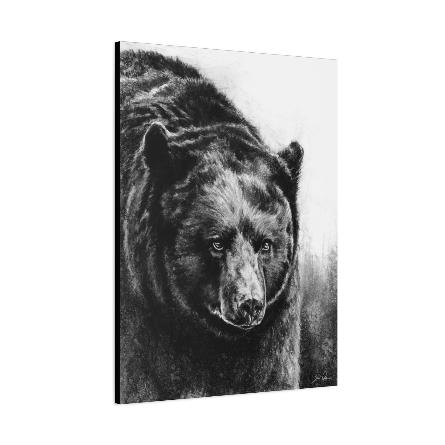 "Black Bear" Stretched Canvas