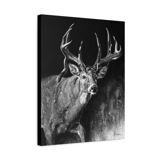 "Jaw Dropper" Stretched Canvas