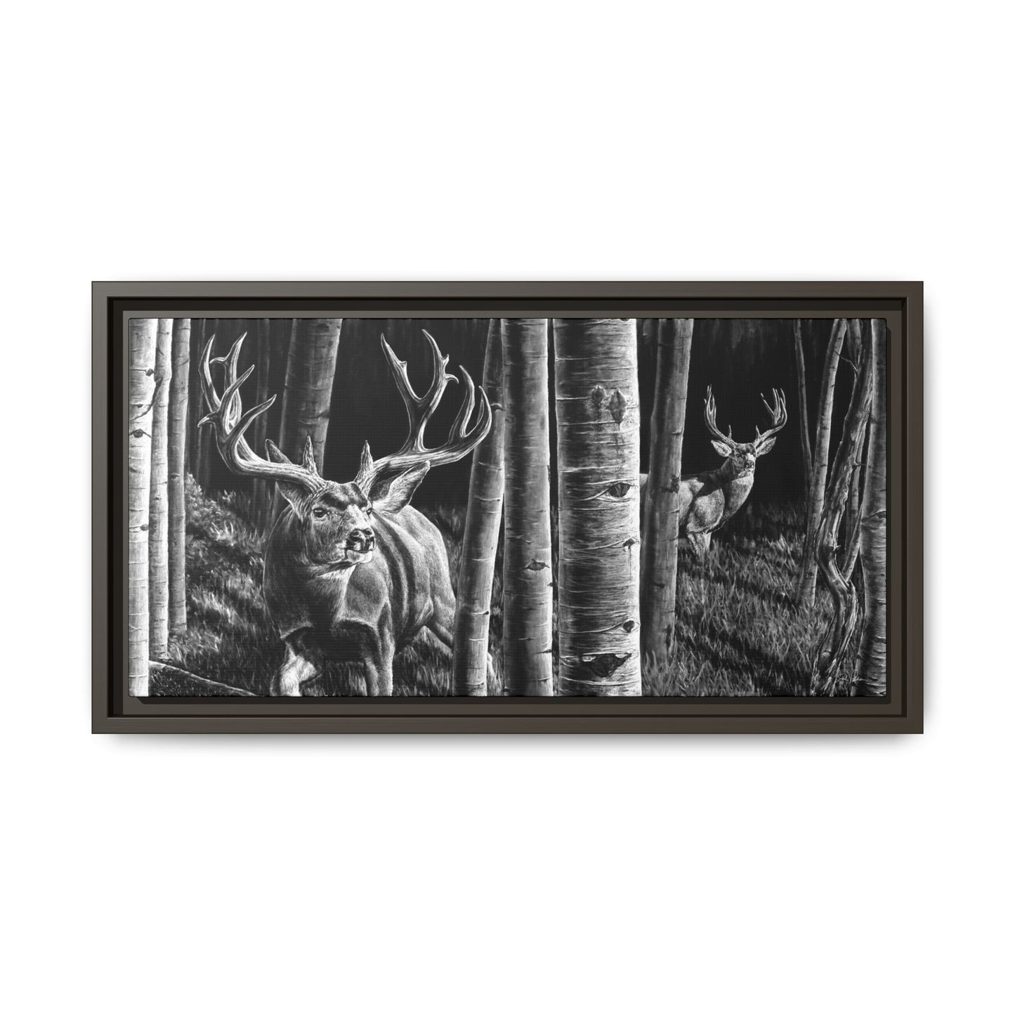 "Out of the Shadows" Framed Canvas