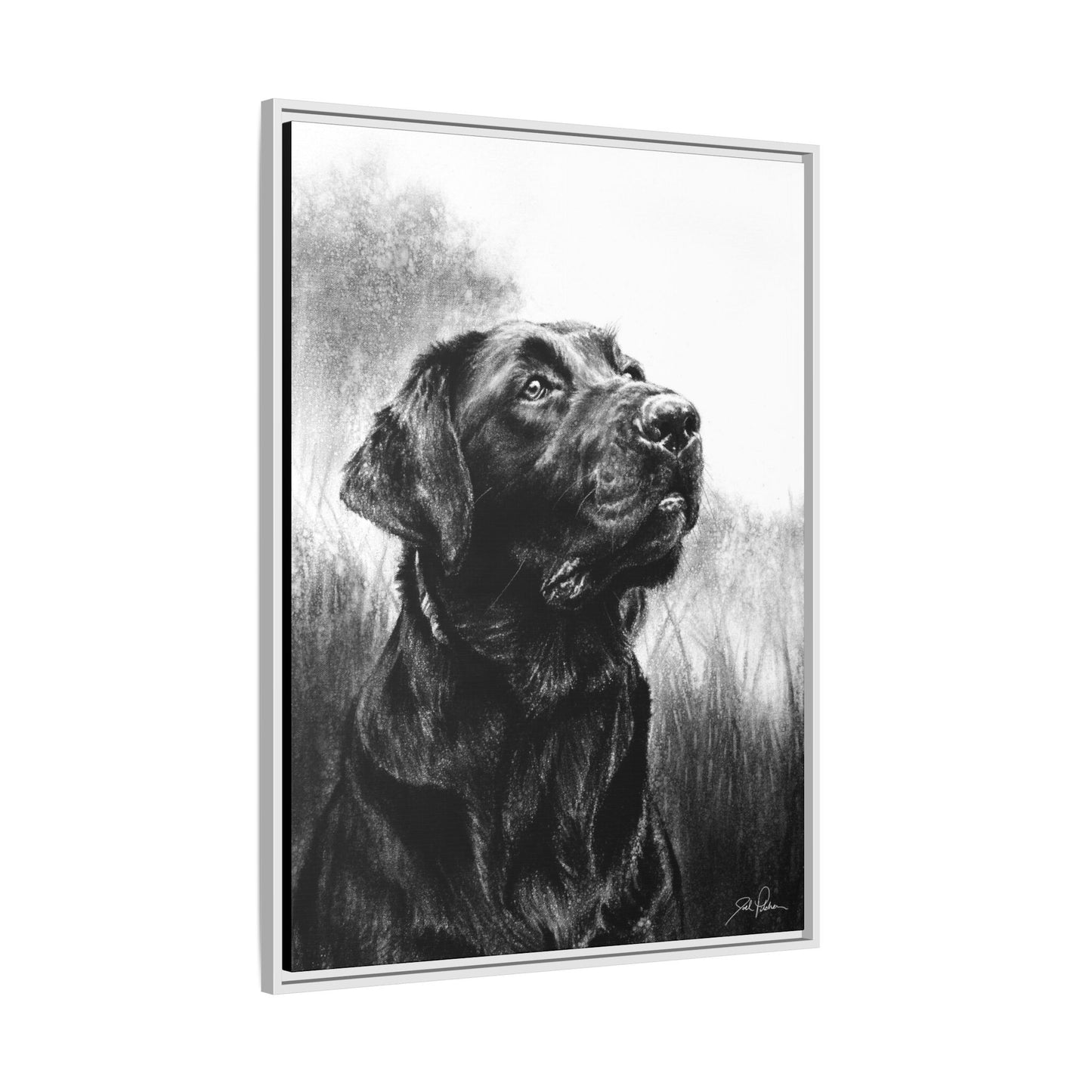 "Labrador Retriever" Framed Canvas