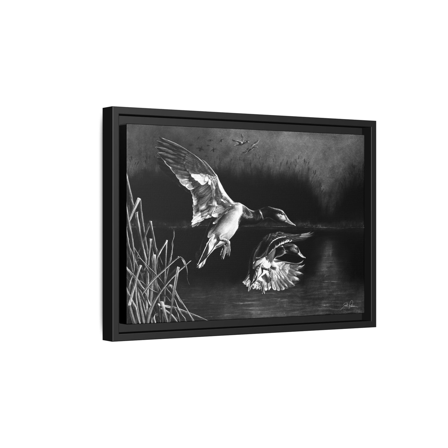"Banded Brothers" Framed Canvas