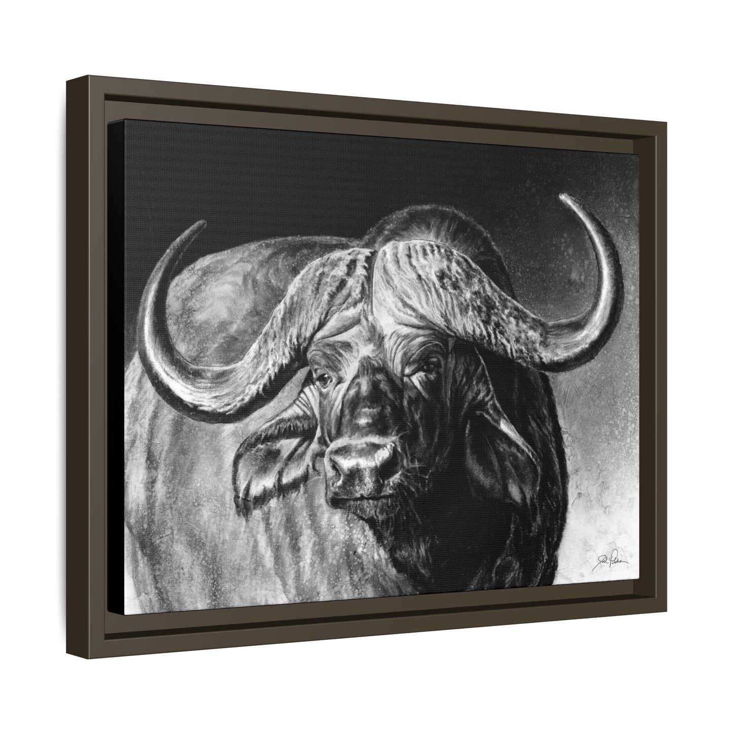 "Cape Buffalo" Framed Canvas