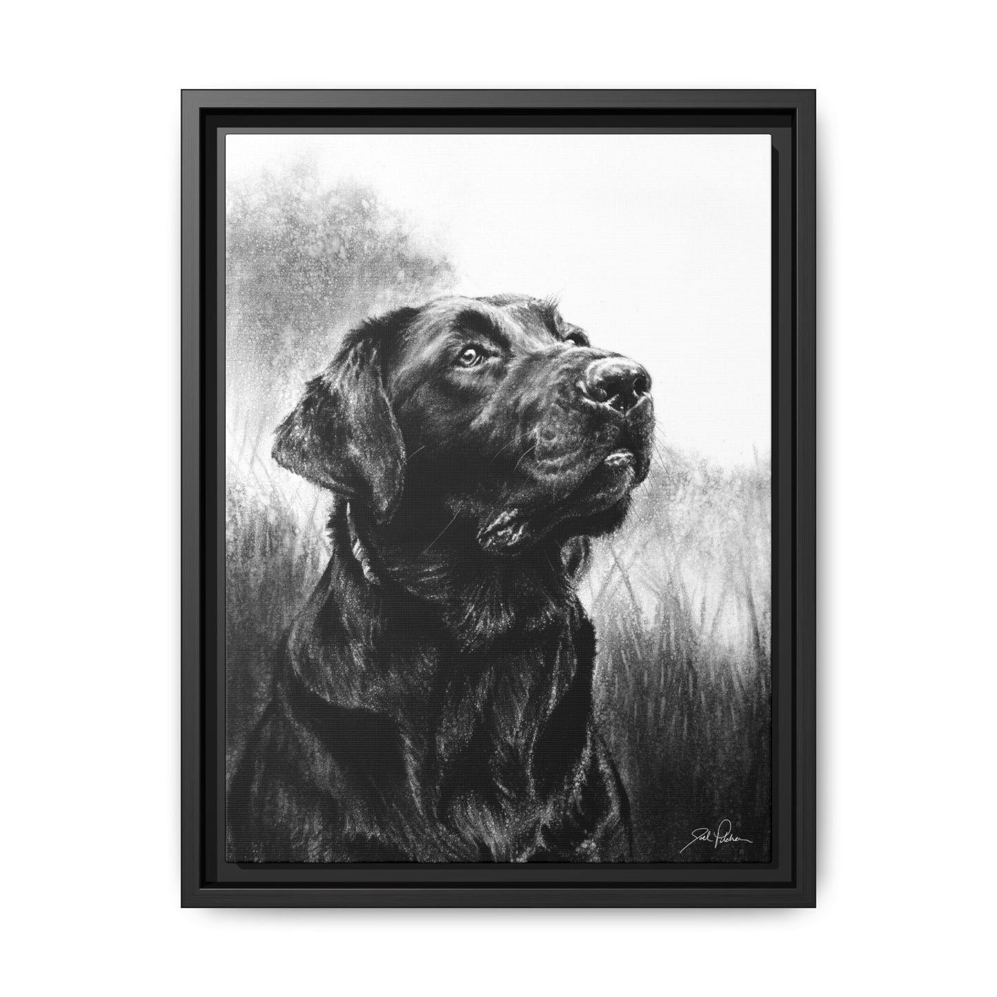 "Labrador Retriever" Framed Canvas