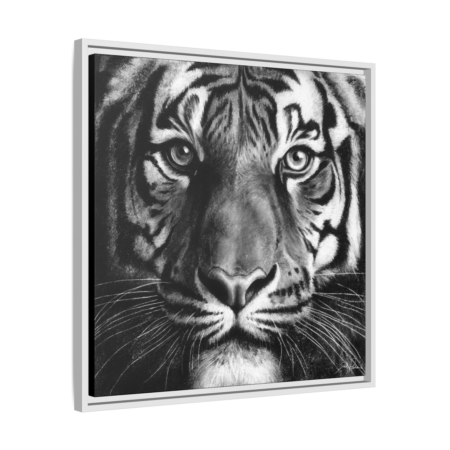 "Tiger" Framed Canvas