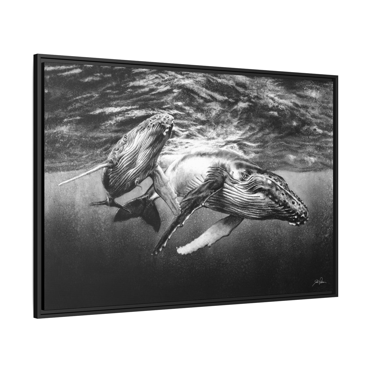 "Humpback Whales" Framed Canvas