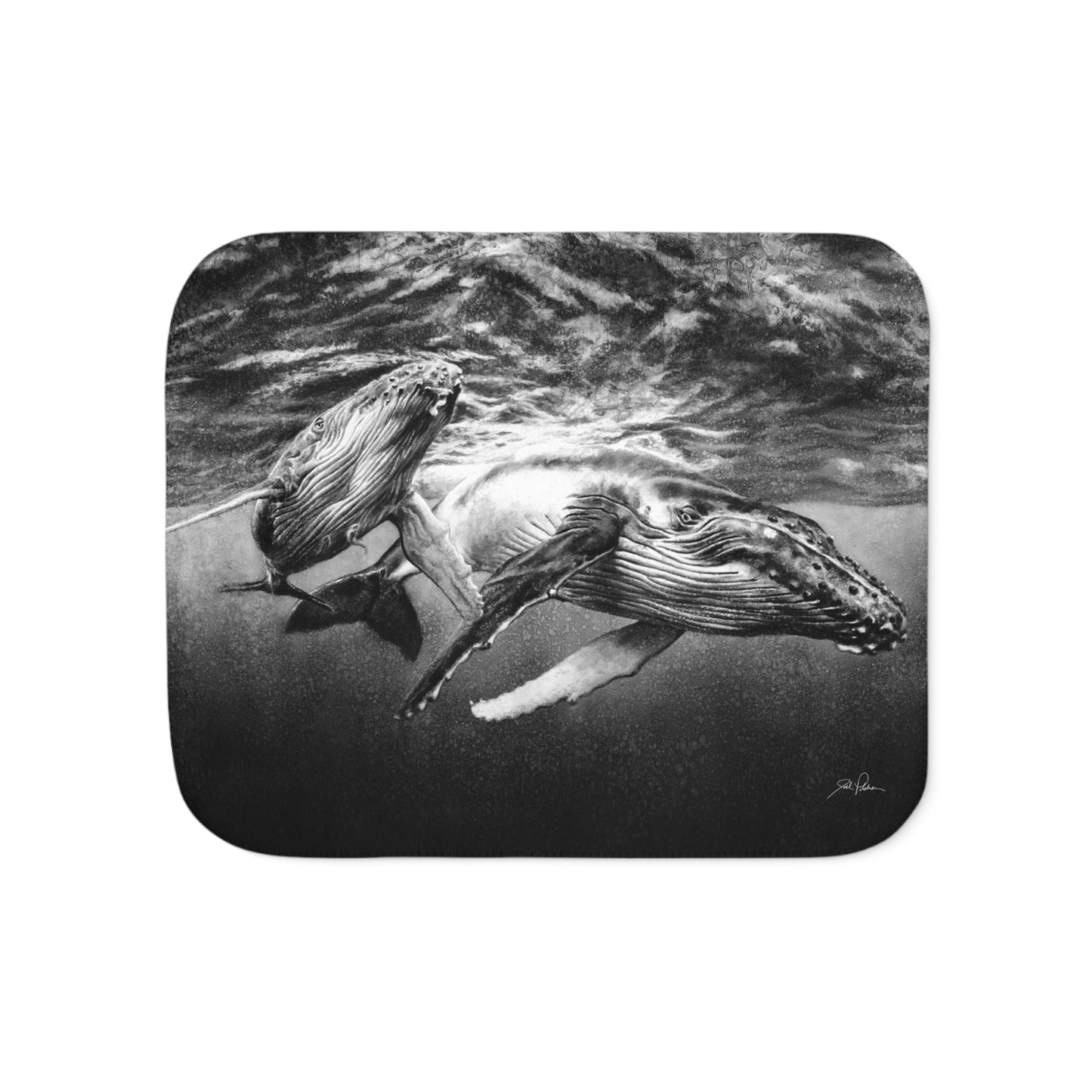 "Humpback Whales" Sherpa Blanket.