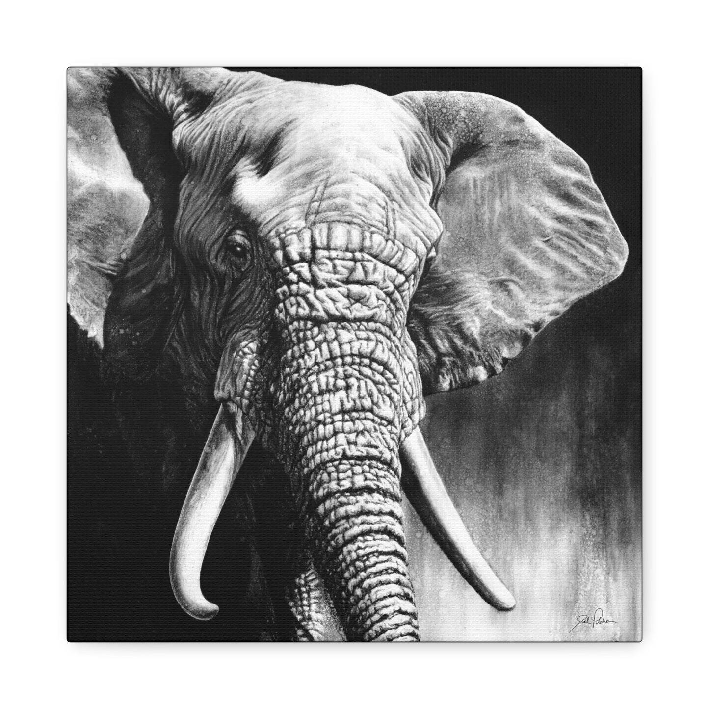 "High & Mighty" Stretched Canvas