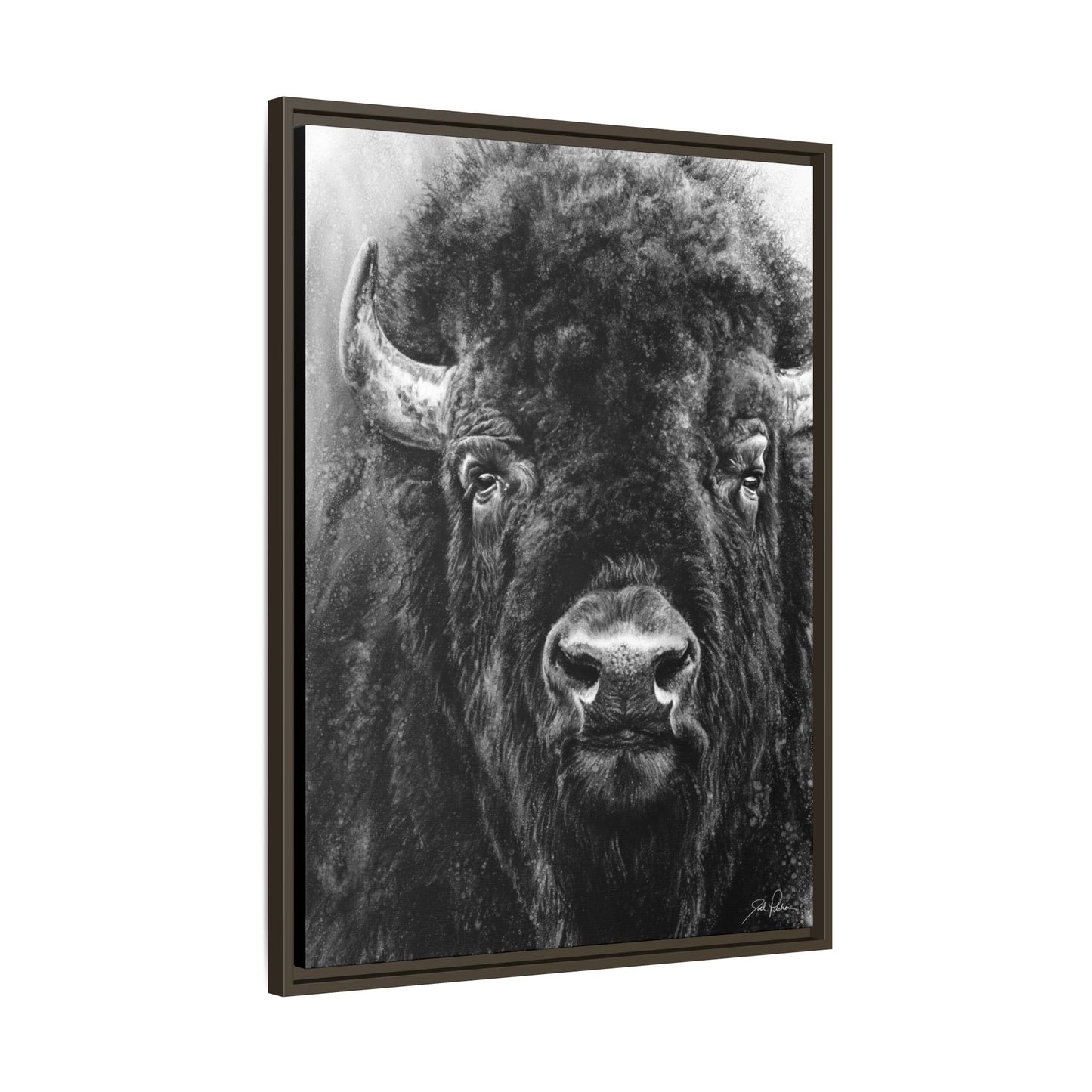 "Tatanka" Framed Canvas