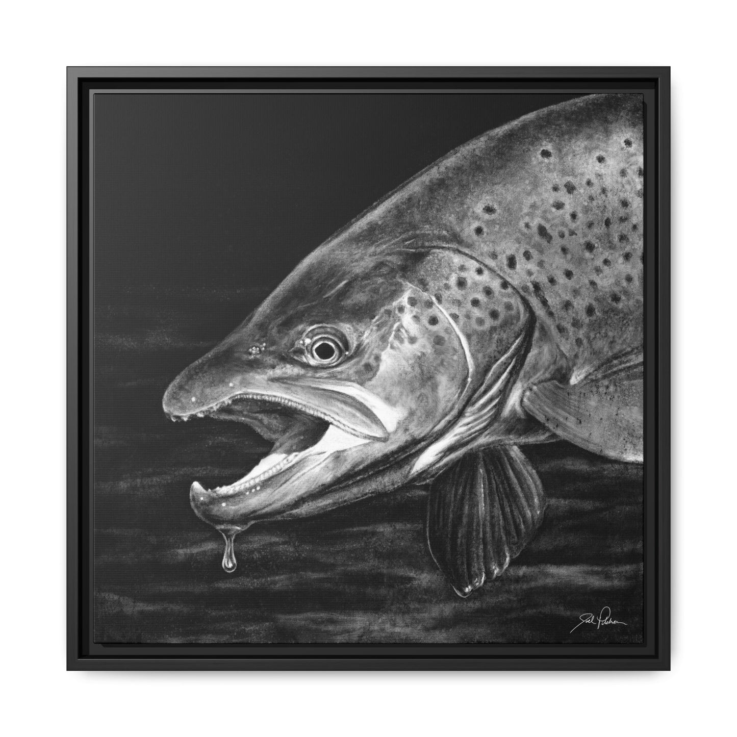 "Brown Trout" Framed Canvas