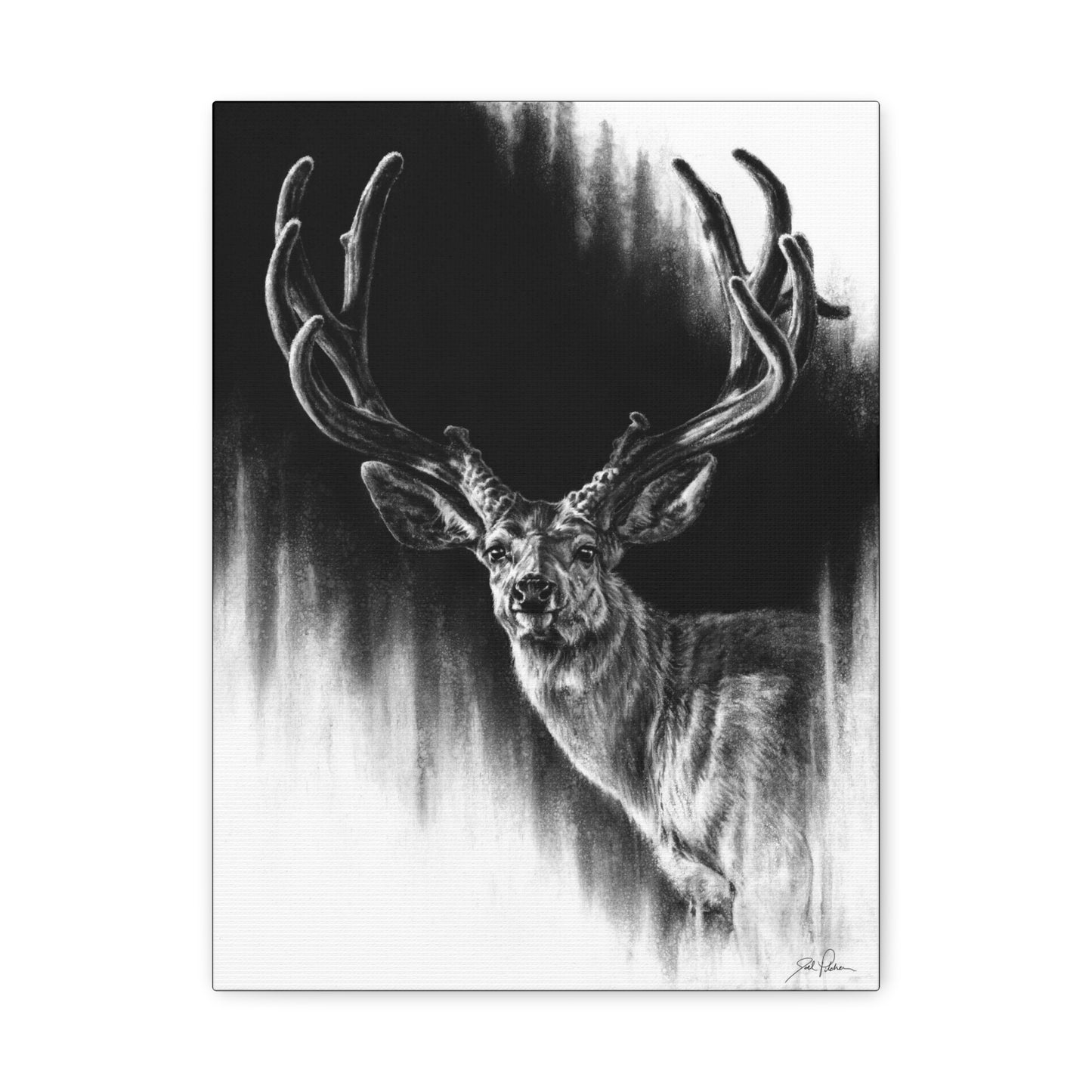 "Summer Swag" Stretched Canvas