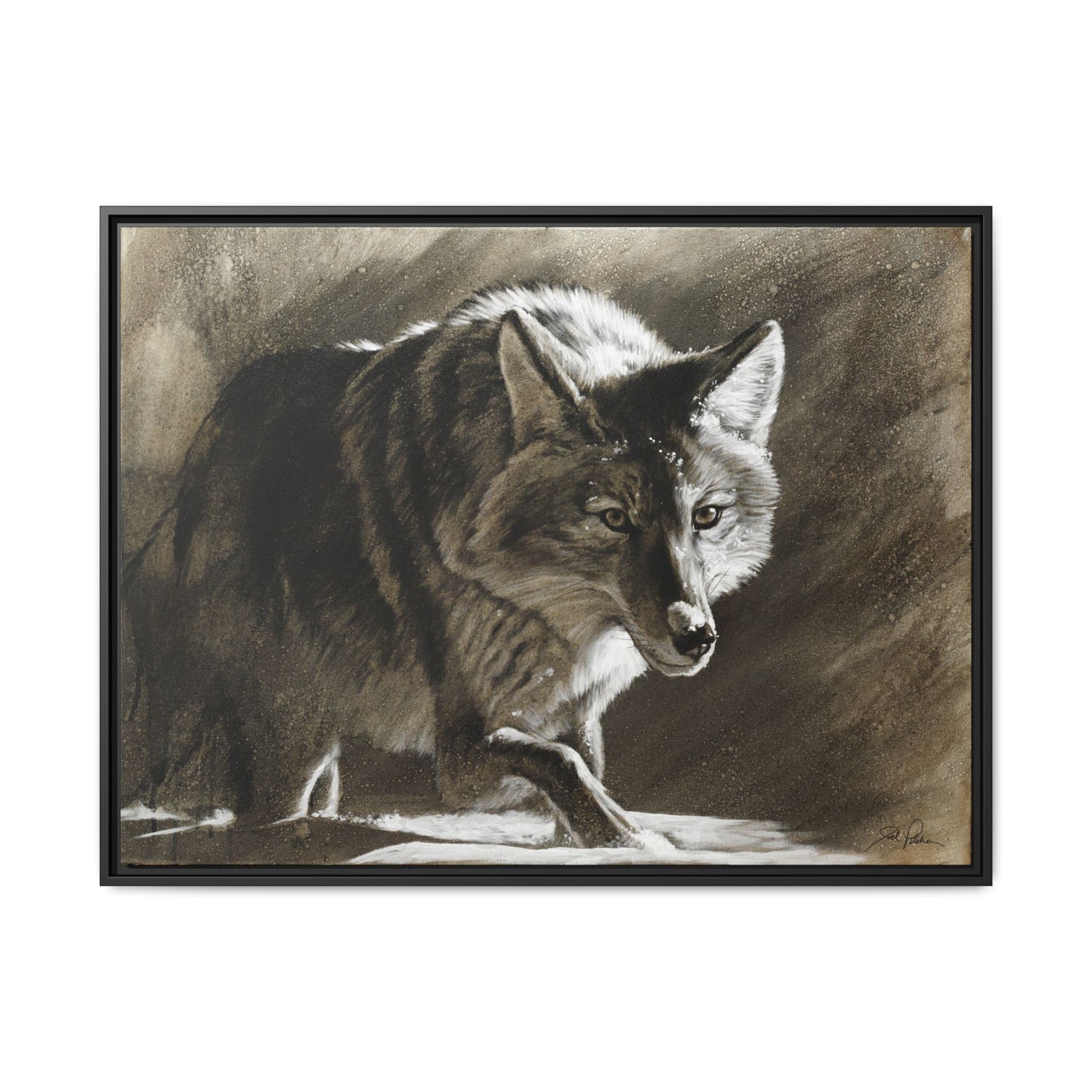 "Coyote" Framed Canvas