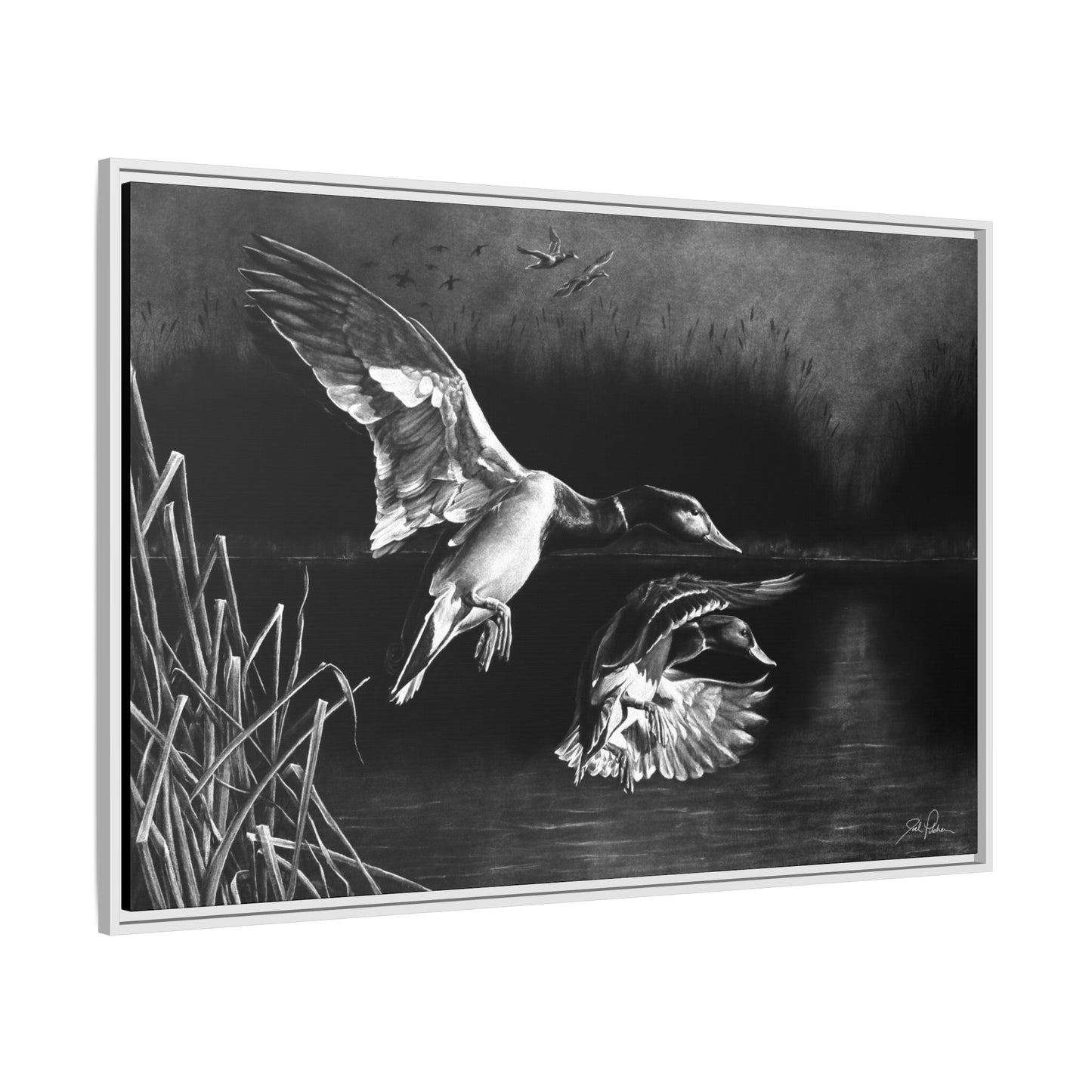 "Banded Brothers" Framed Canvas