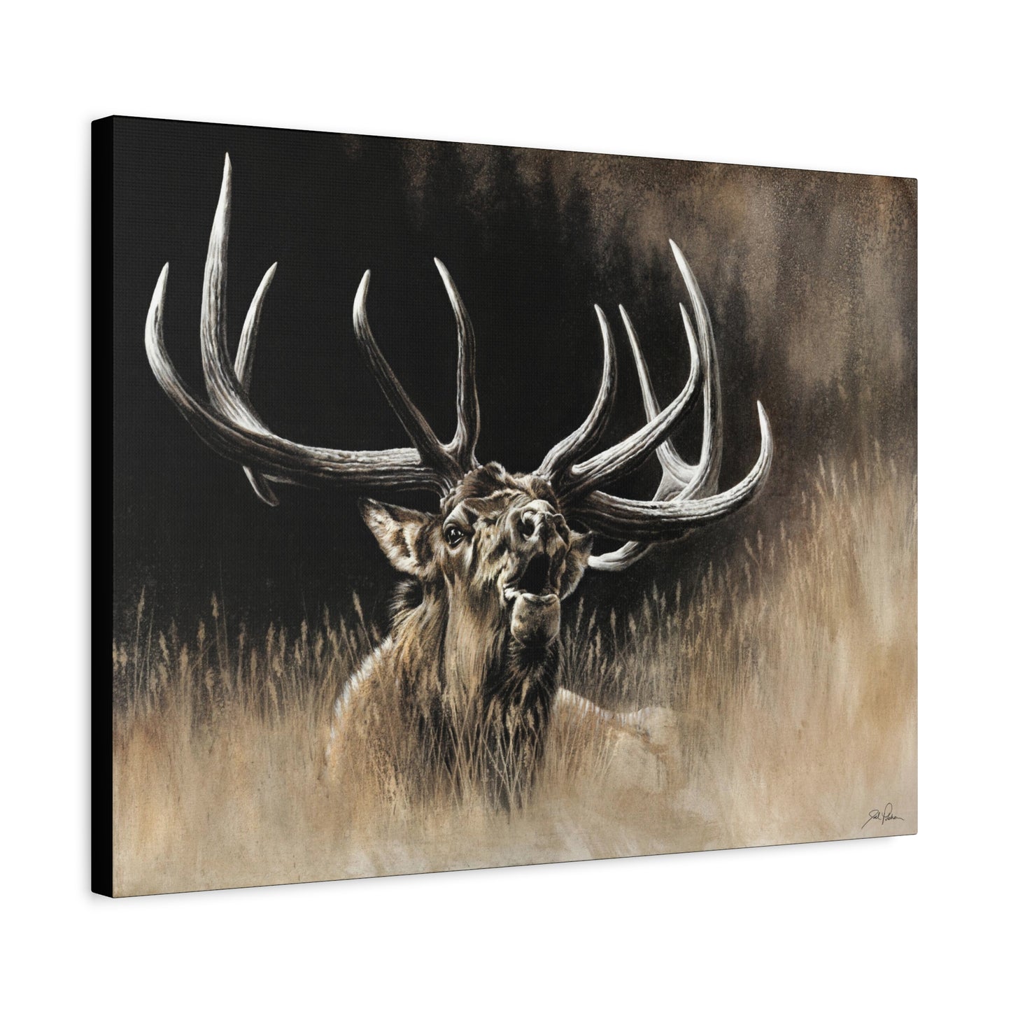 "Wake Up Call" Stretched Canvas