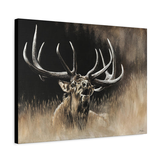 "Wake Up Call" Stretched Canvas
