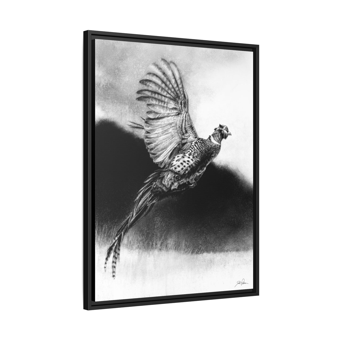 "Flushed" Framed Canvas
