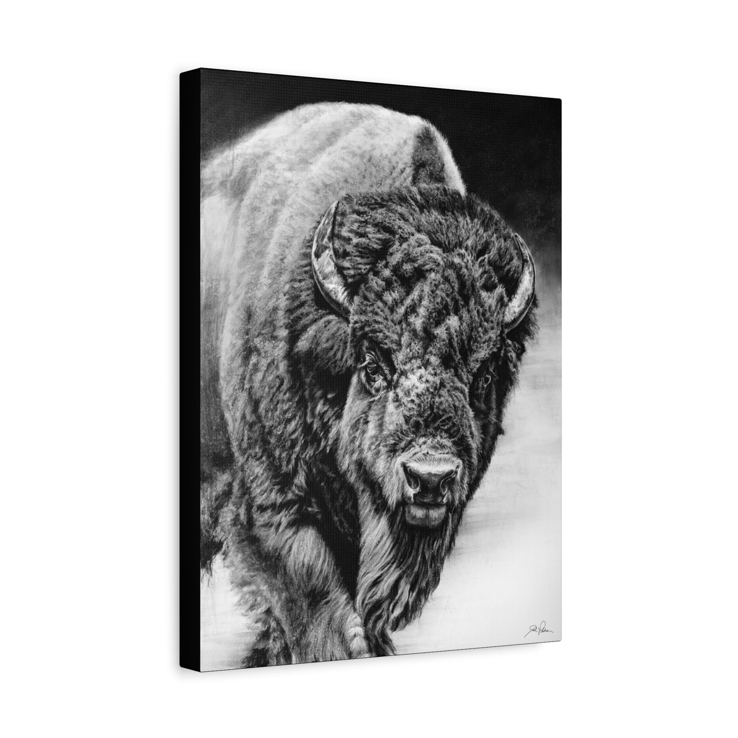 "Heavyweight Champ" Stretched Canvas