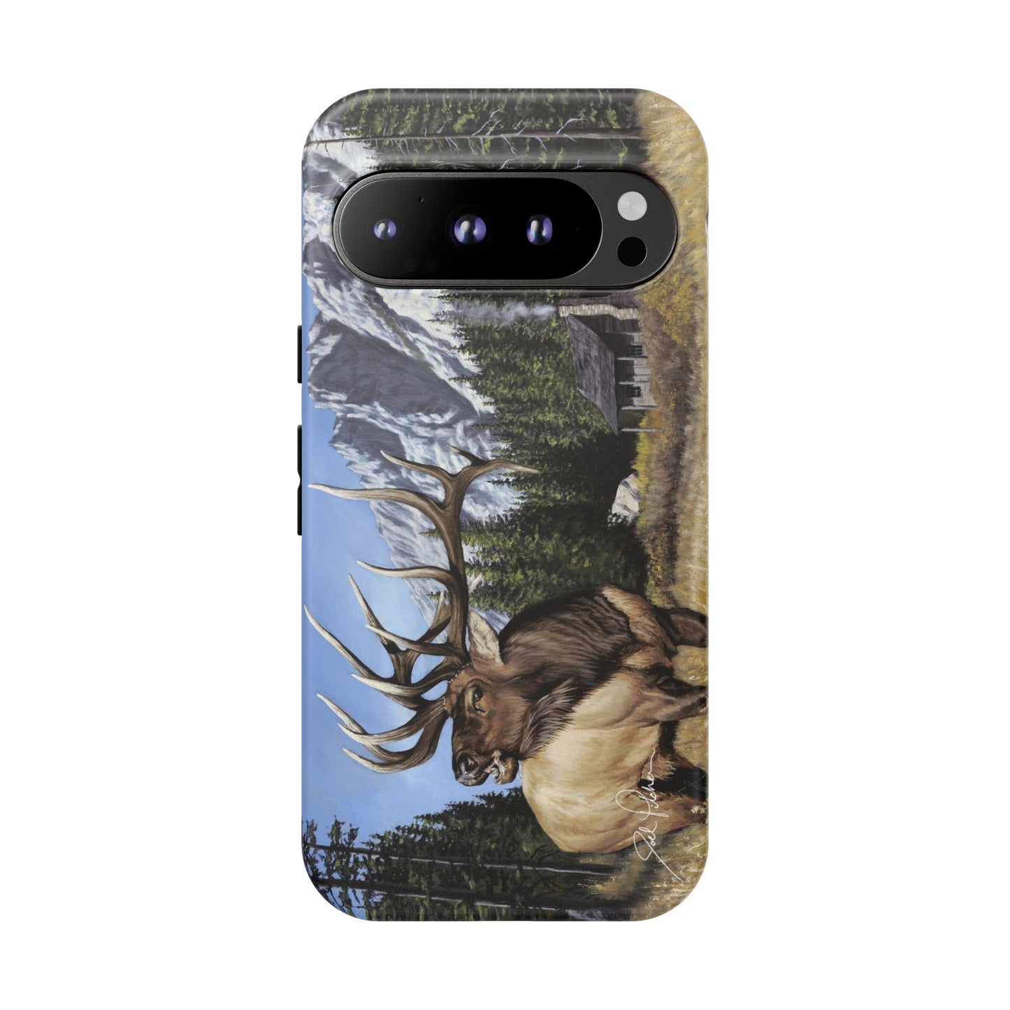 "Sanctuary" Google Pixel 9 Tough Cases
