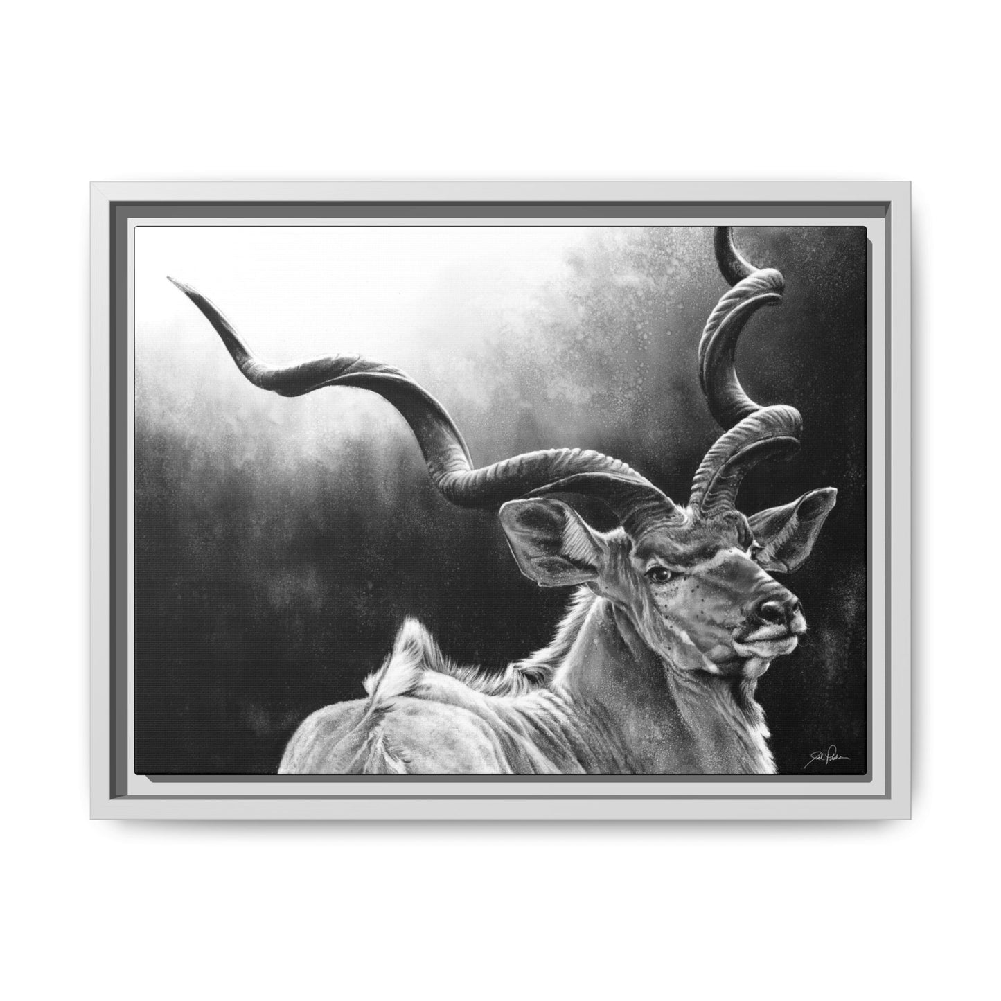 "Kudu" Framed Canvas