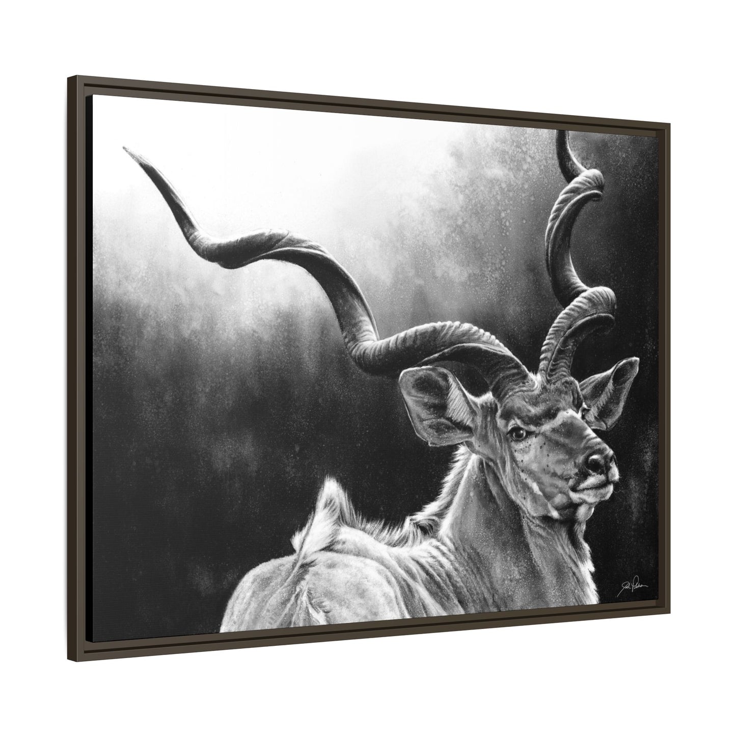 "Kudu" Framed Canvas